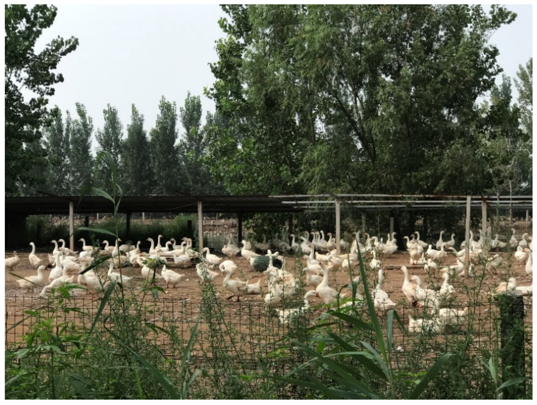 Sustainability 14 14136 g005