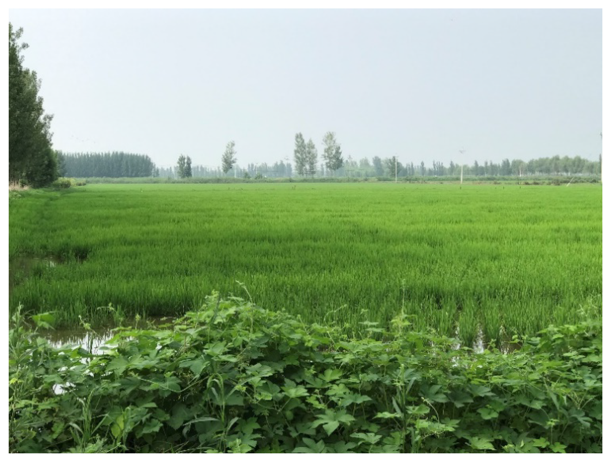 Sustainability 14 14136 g006