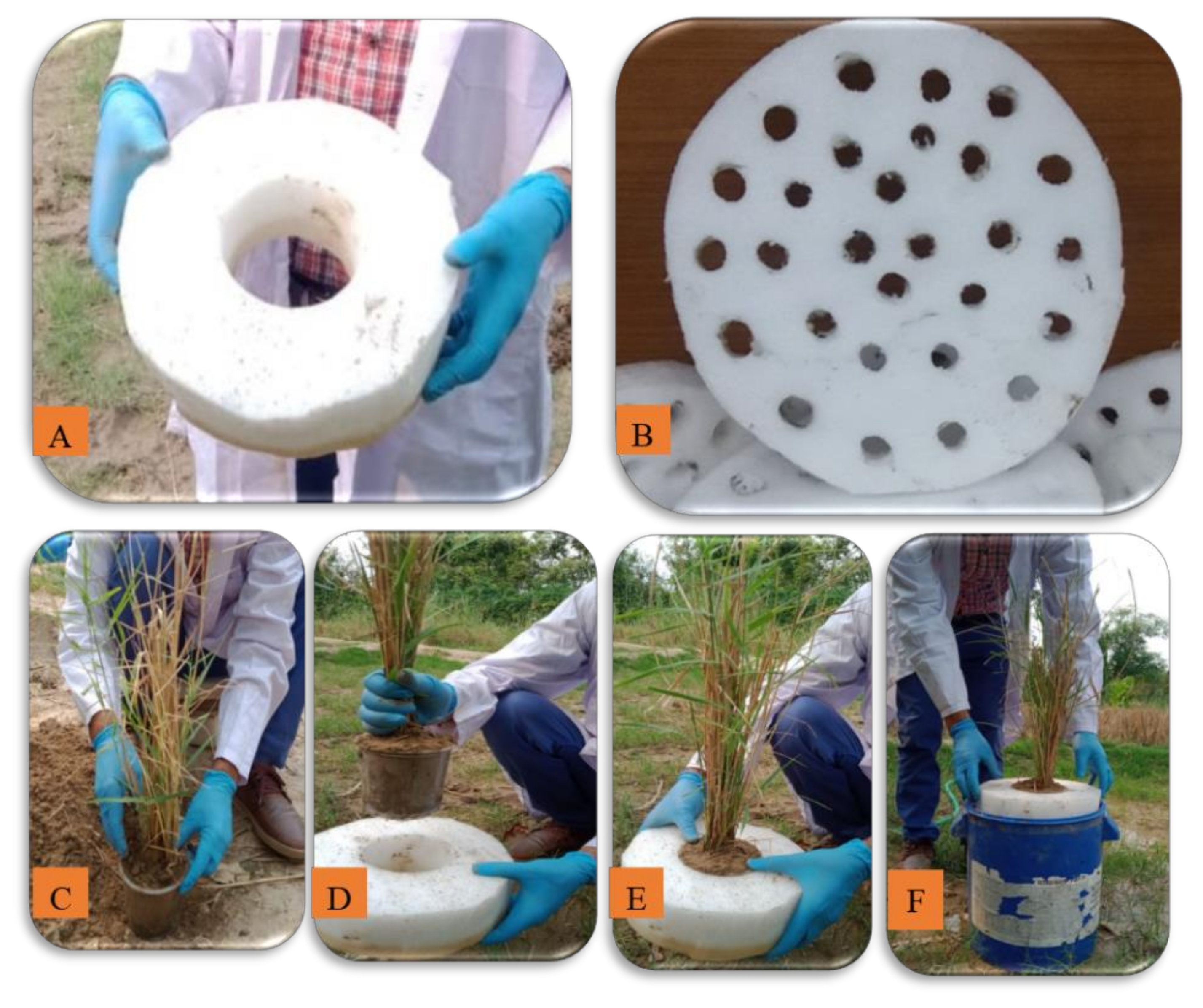 Sustainability 14 14216 g001