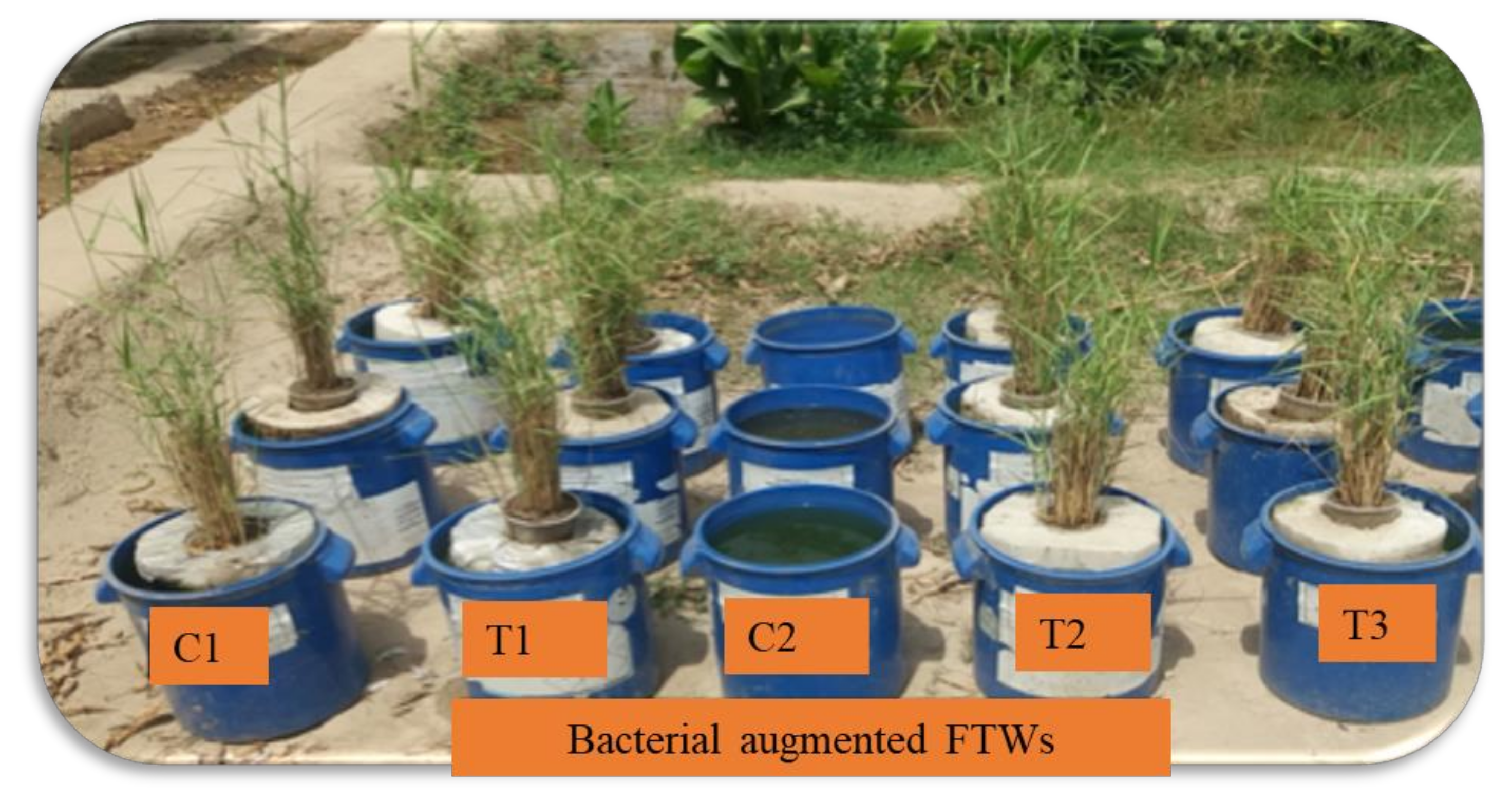 Sustainability 14 14216 g002