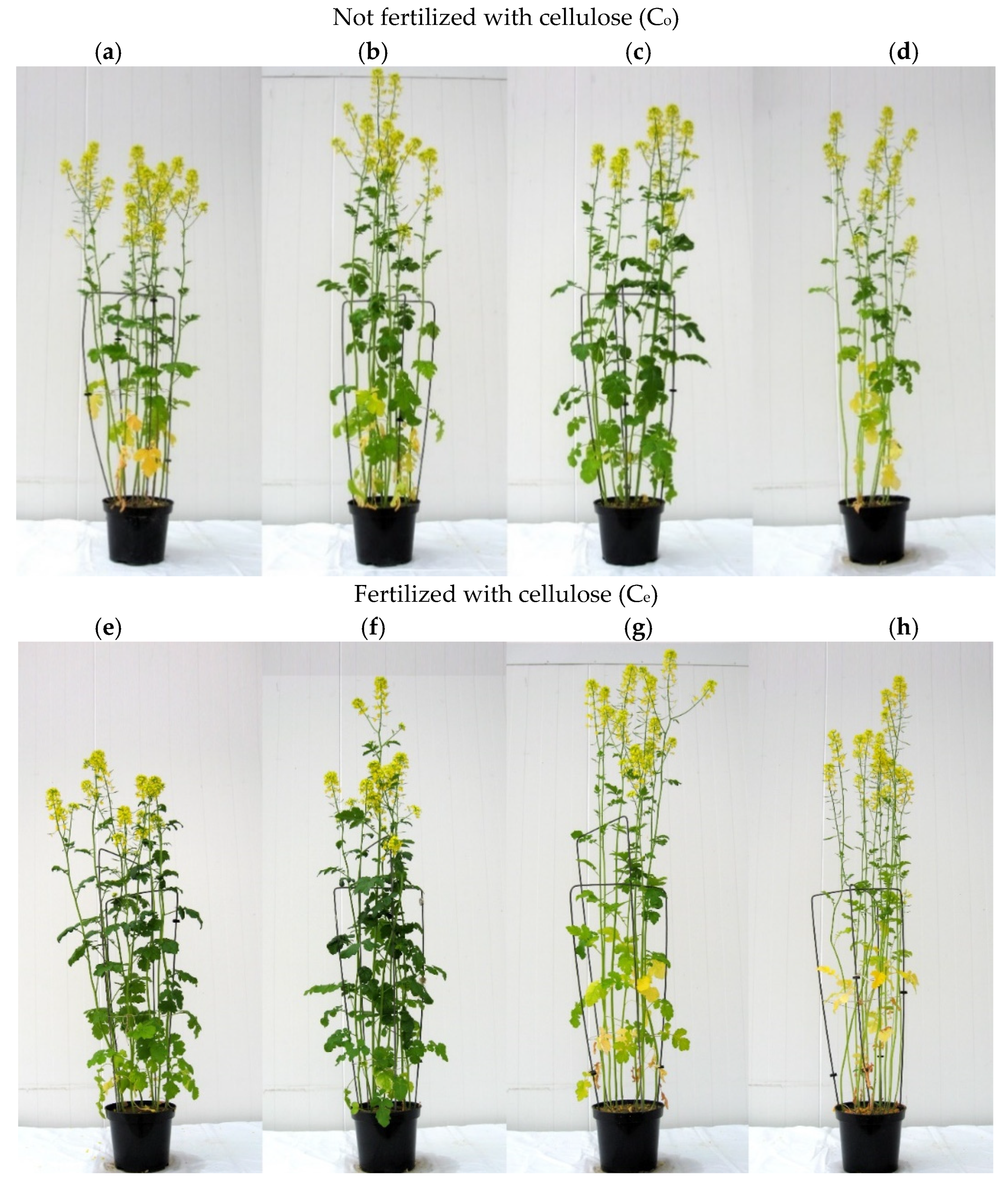 Sustainability 14 14242 g001 Sustainability 14 14242 g001