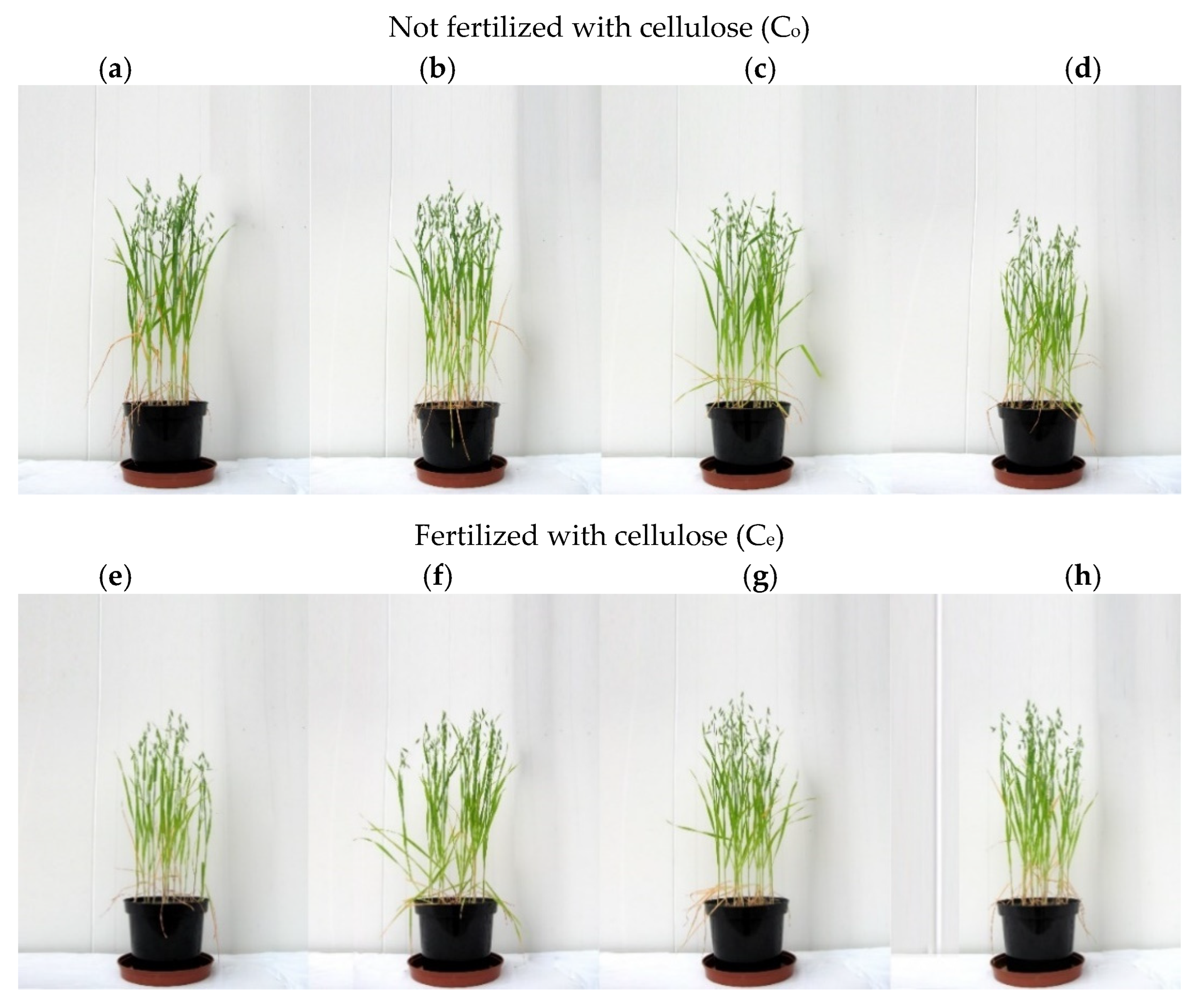 Sustainability 14 14242 g002 Sustainability 14 14242 g002