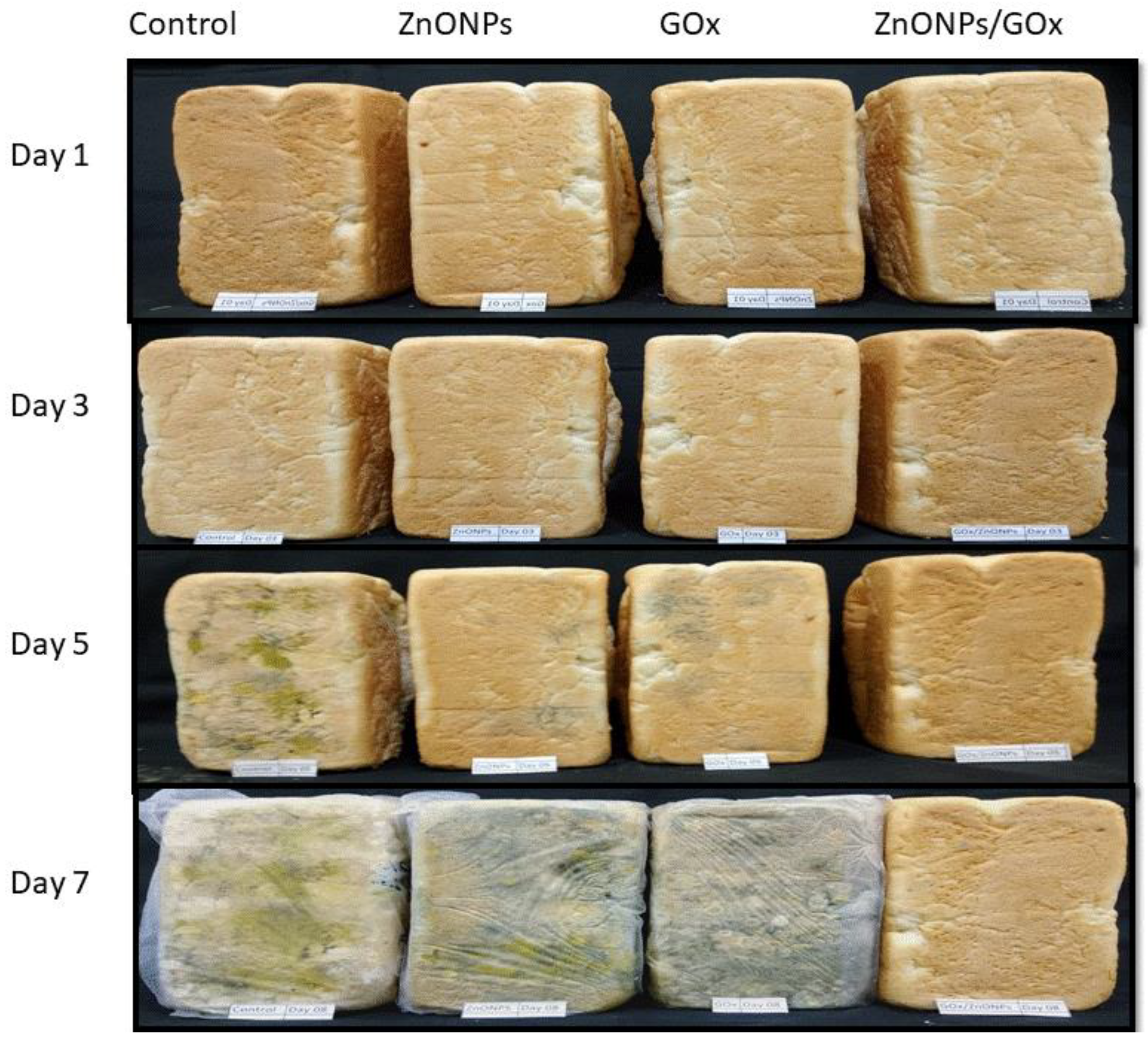 Sustainability 14 14255 g006