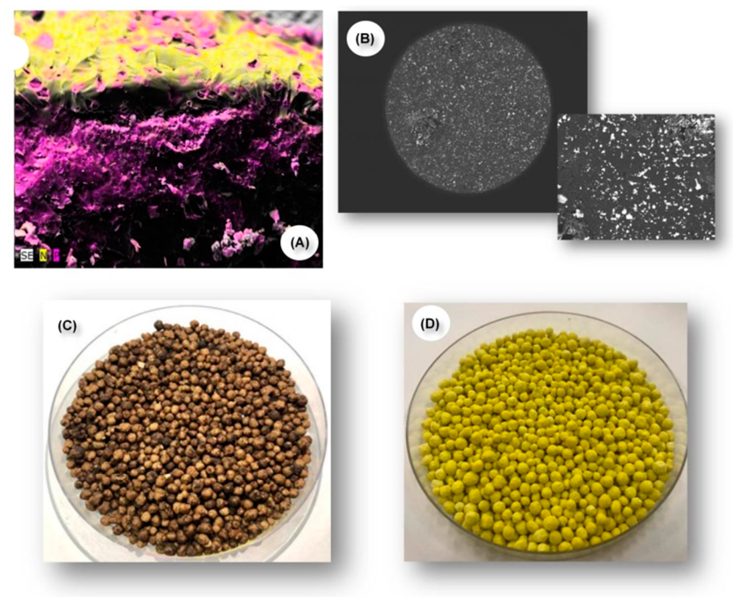 Sustainability 14 14266 g004