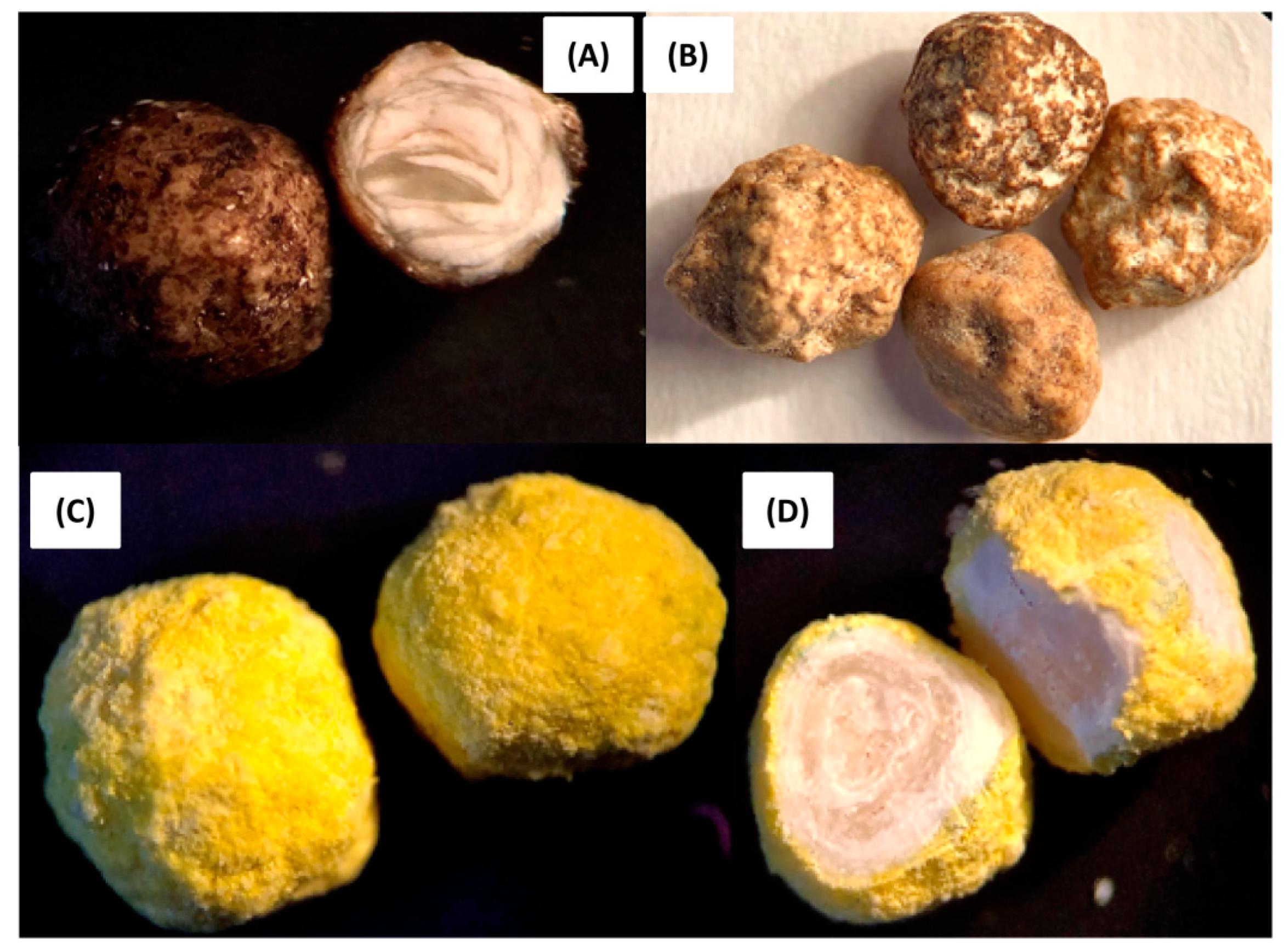 Sustainability 14 14266 g005