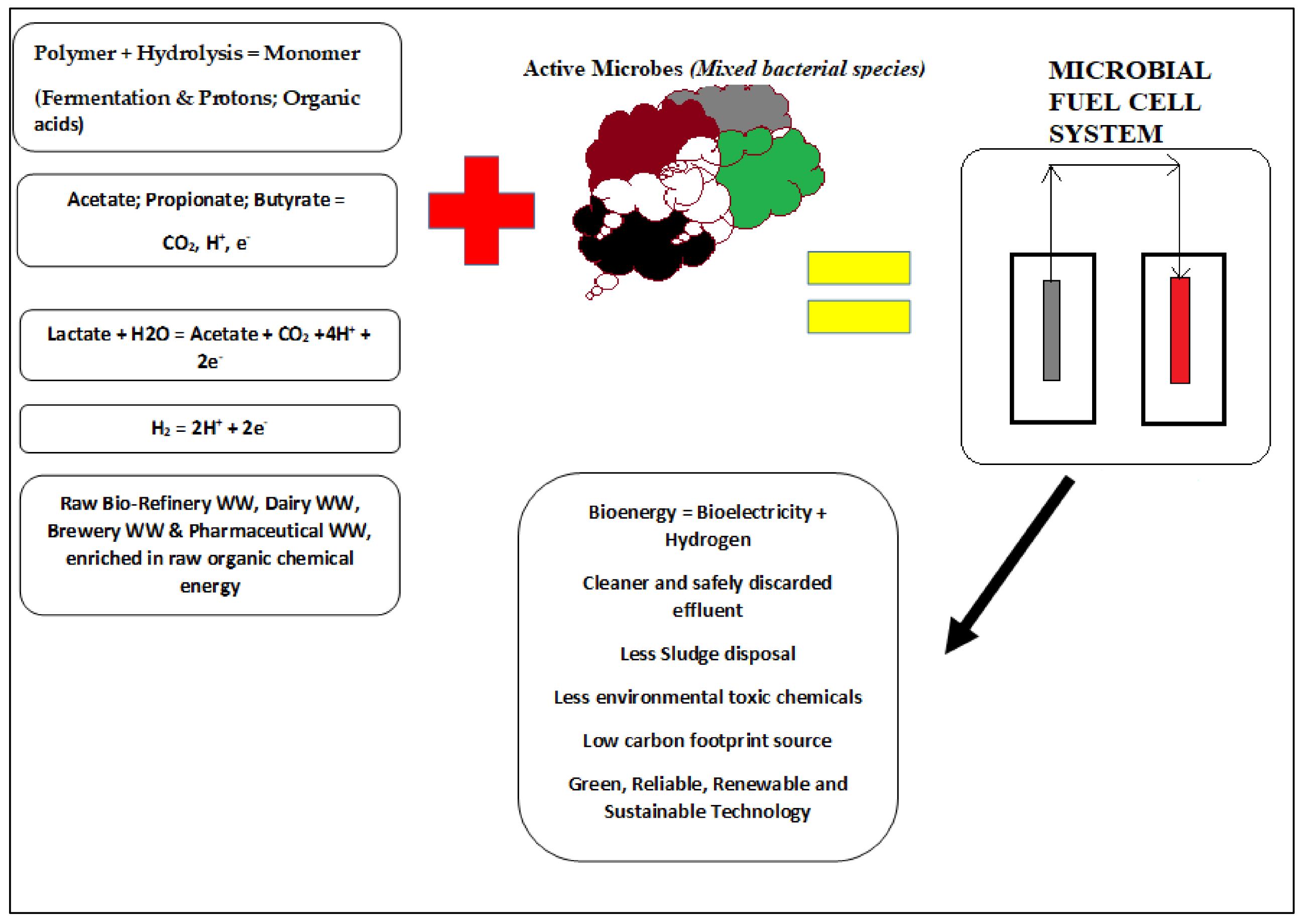 Sustainability 14 14268 g002