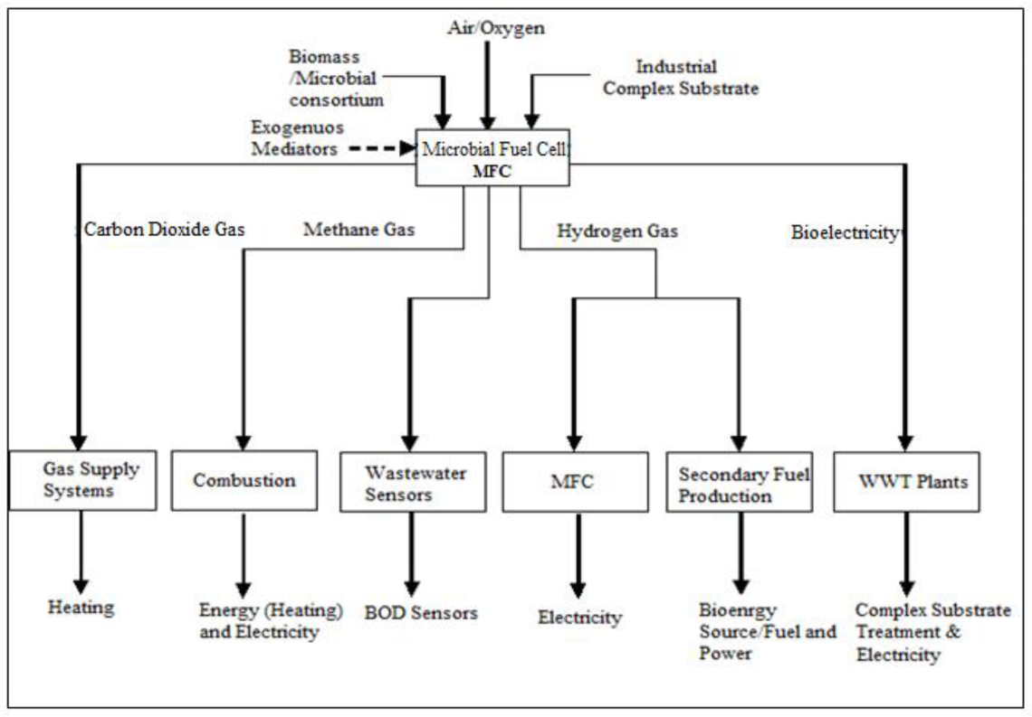 Sustainability 14 14268 g003
