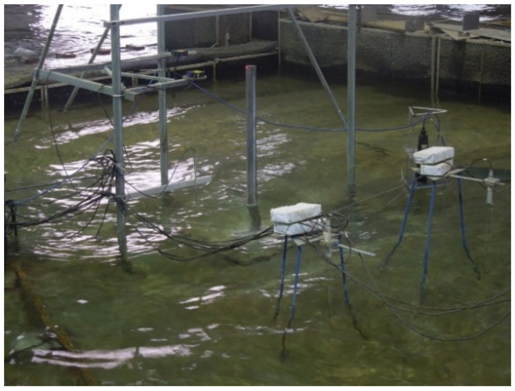 Sustainability 14 14272 g004