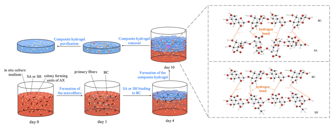 Sustainability 14 14277 g001