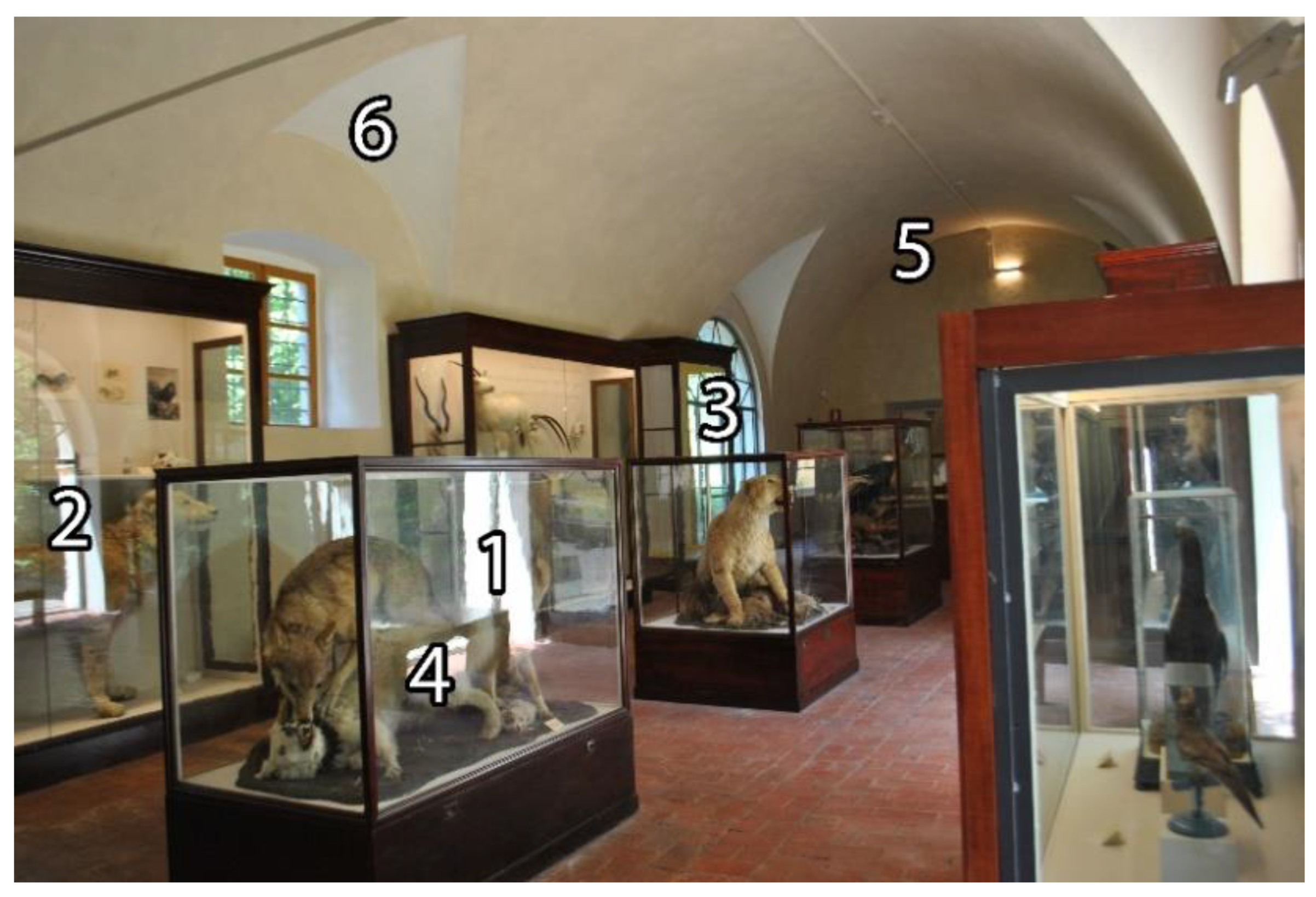 Sustainability 14 14288 g009