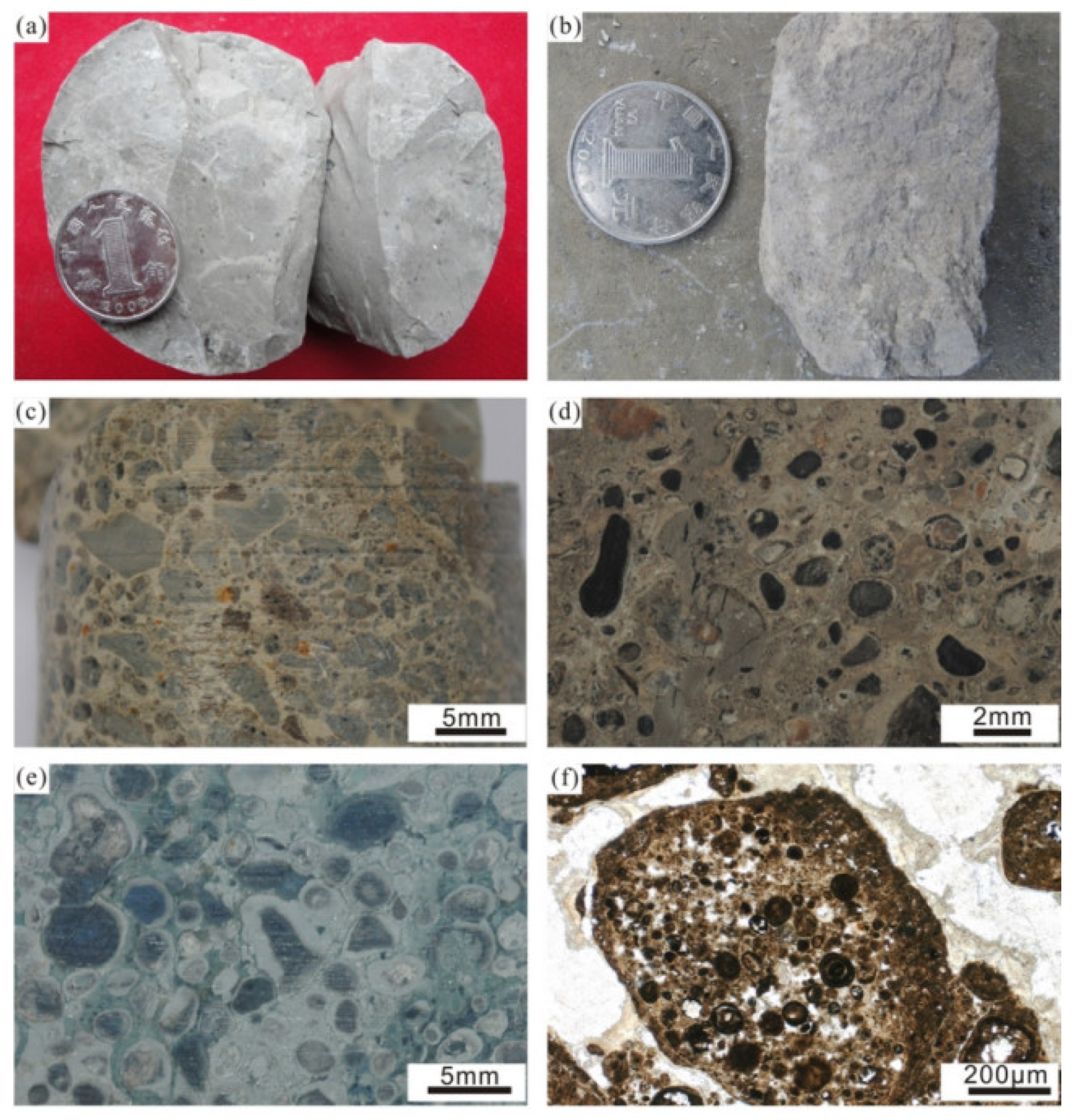 Sustainability 14 14301 g002