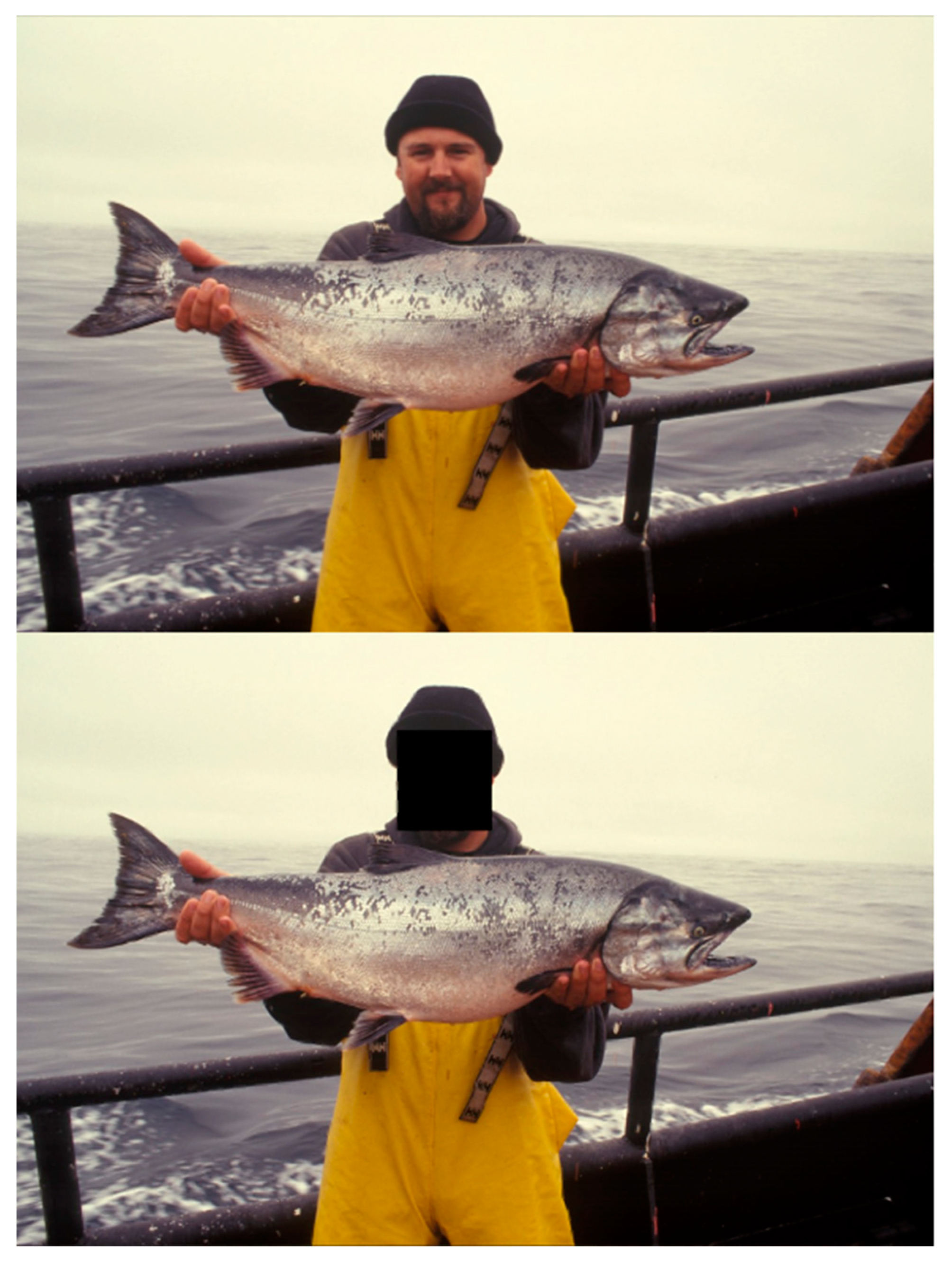 Sustainability 14 14324 g002 Sustainability 14 14324 g002