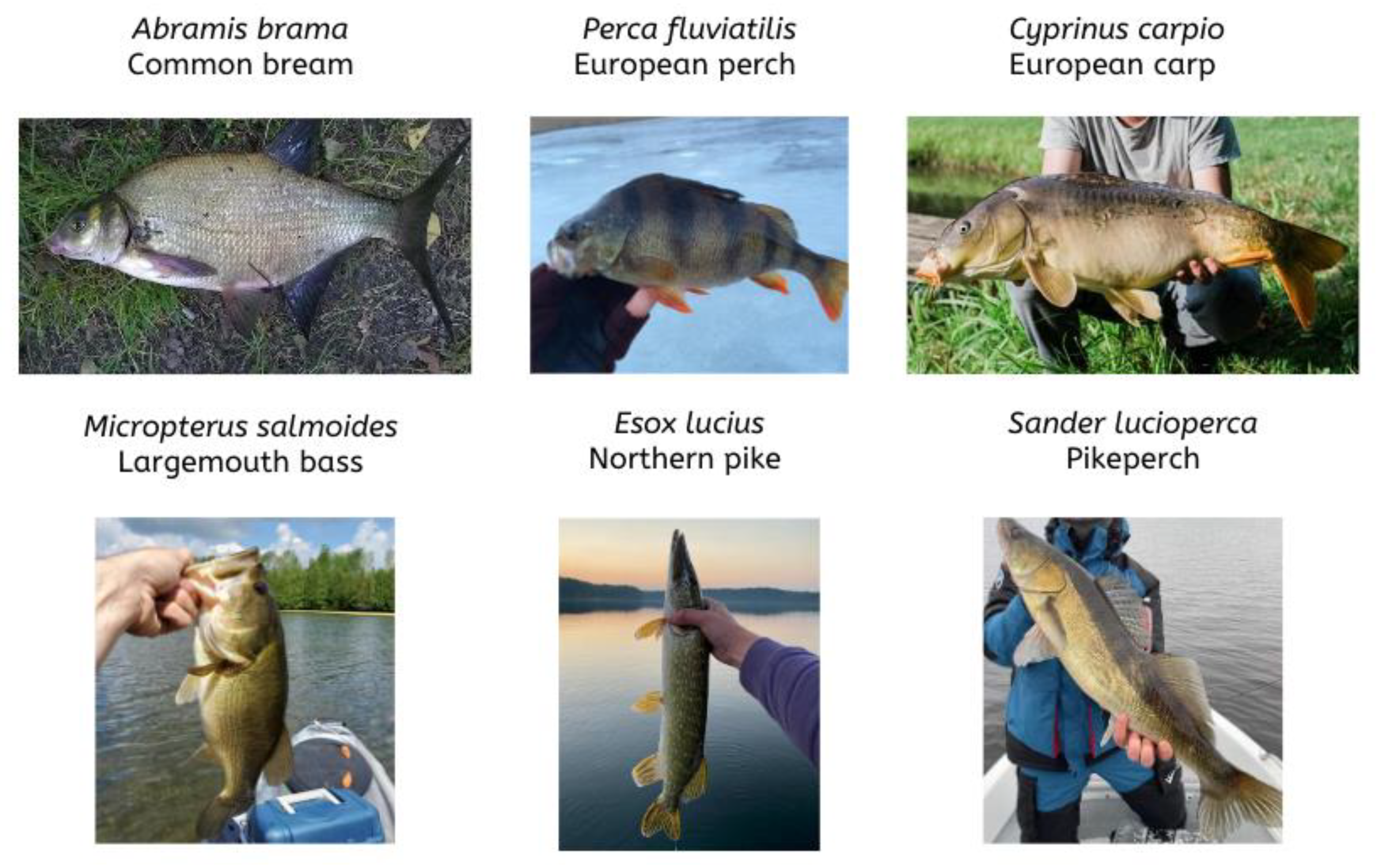 Sustainability 14 14324 g003 Sustainability 14 14324 g003