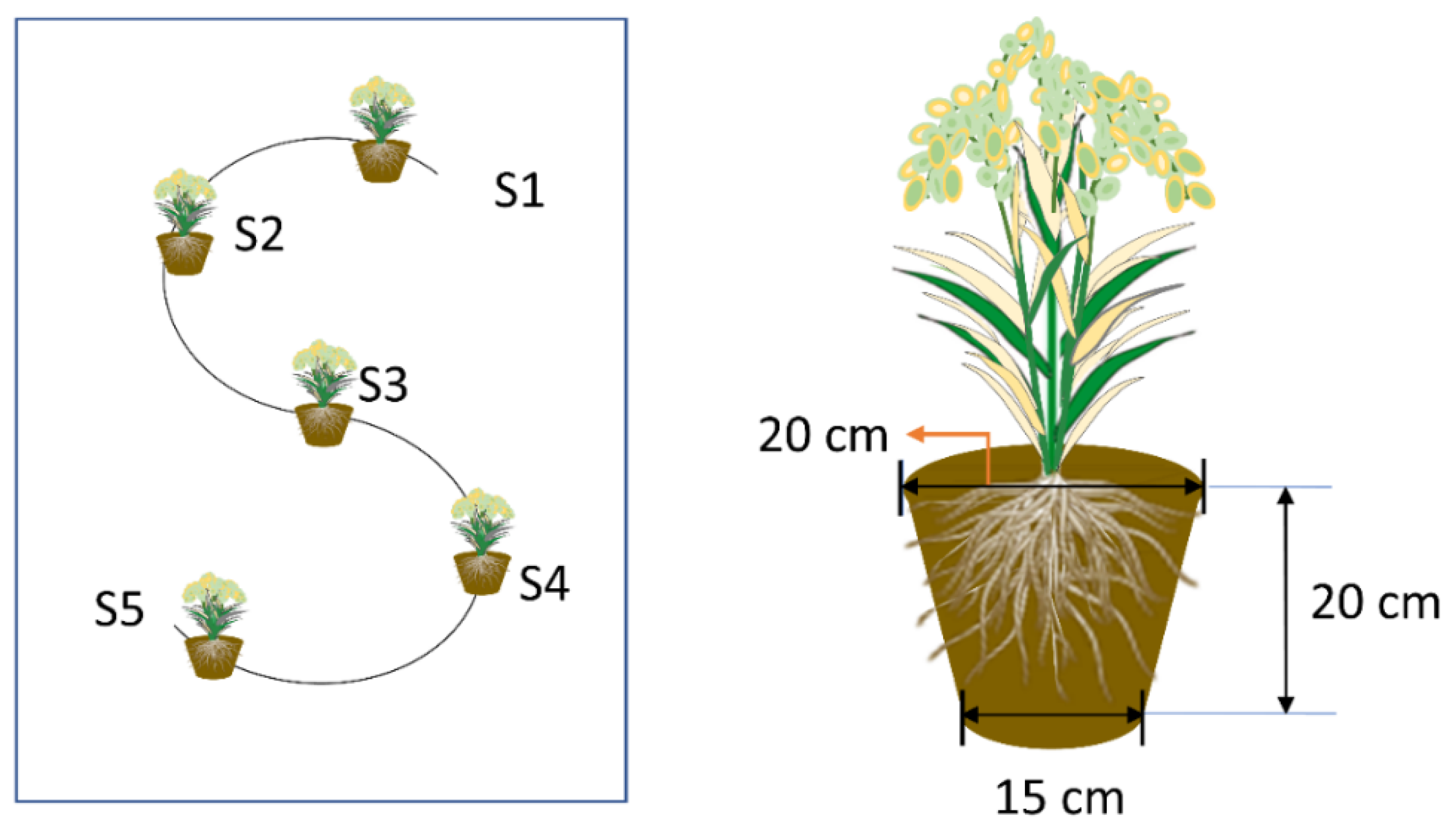 Sustainability 14 14355 g002