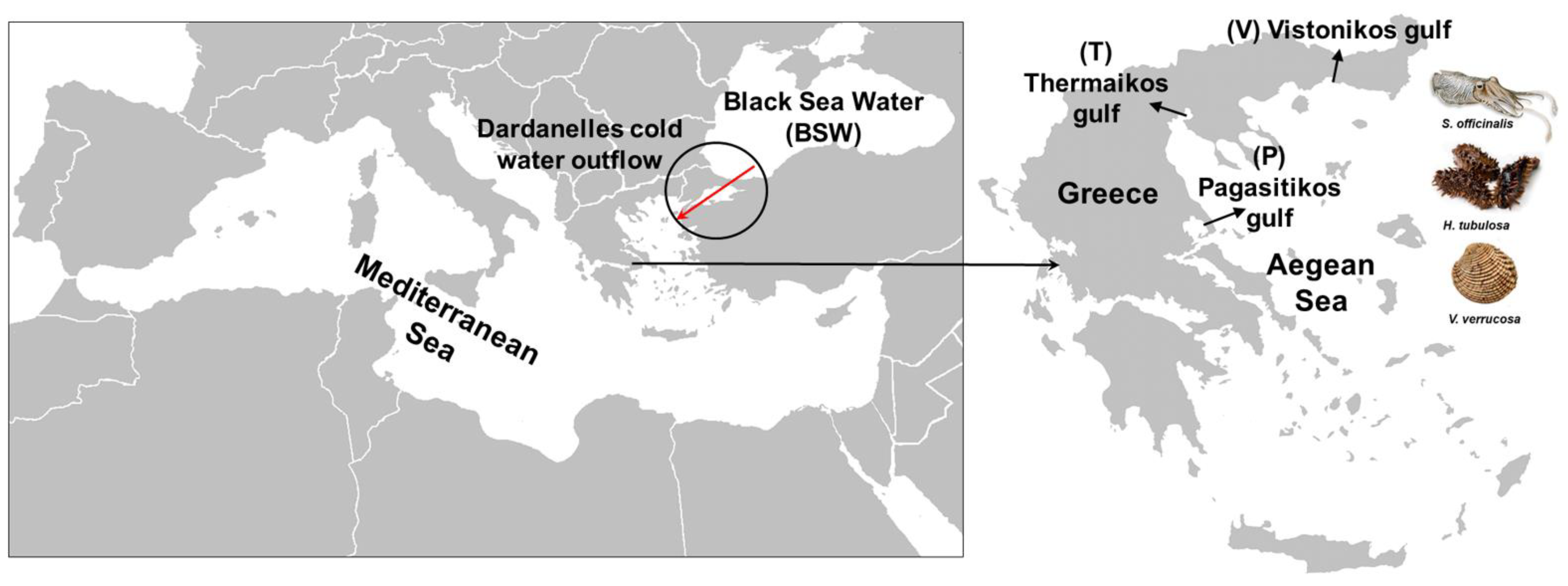 Sustainability 14 14380 g001