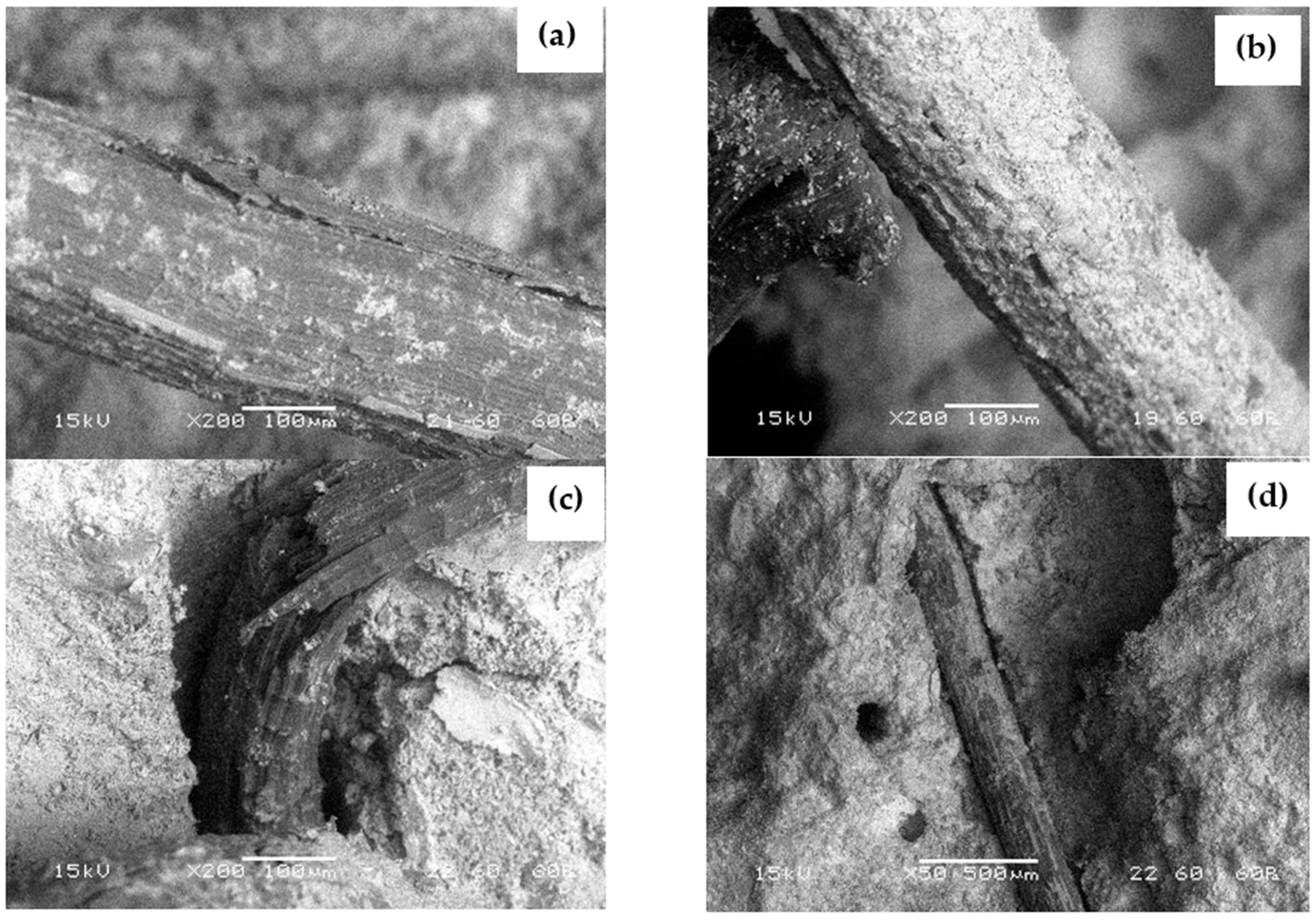 Sustainability 14 14397 g006