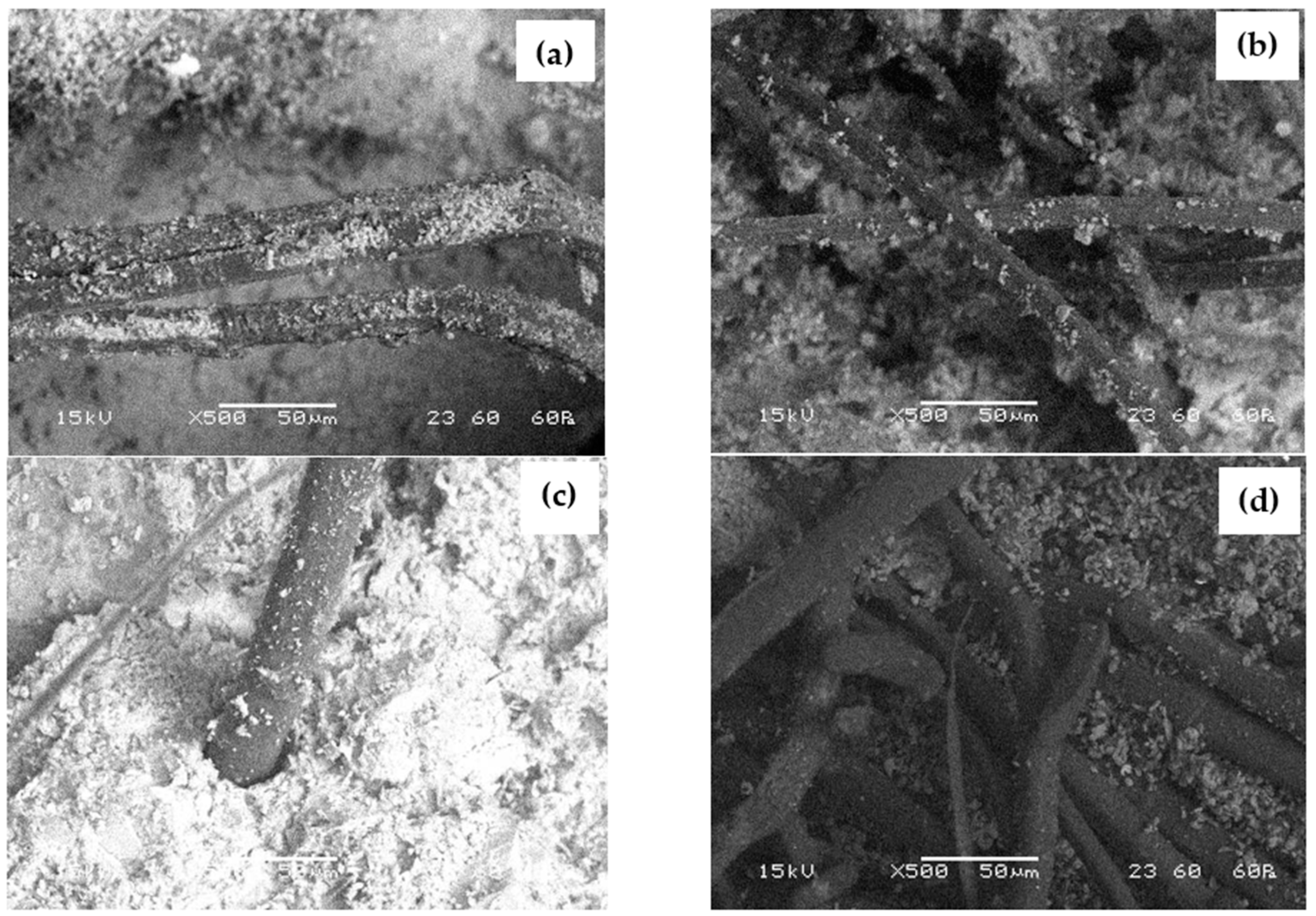 Sustainability 14 14397 g007