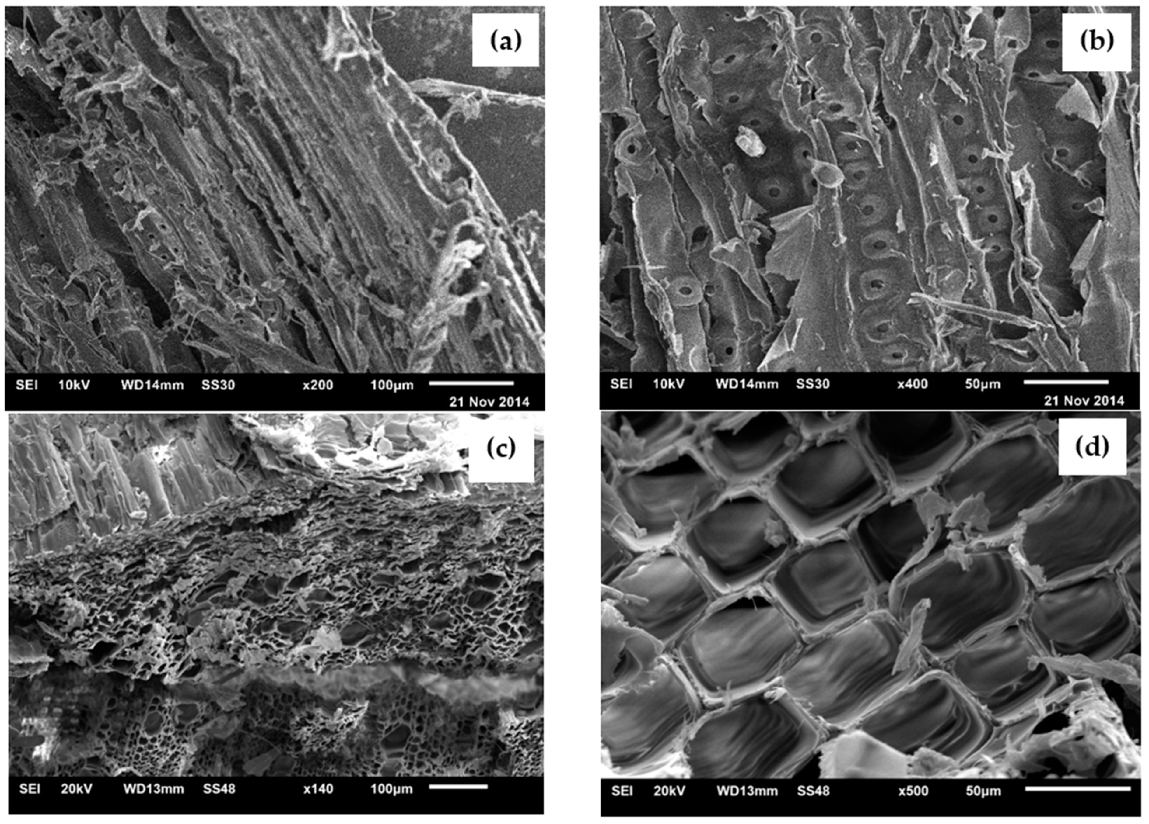 Sustainability 14 14397 g015