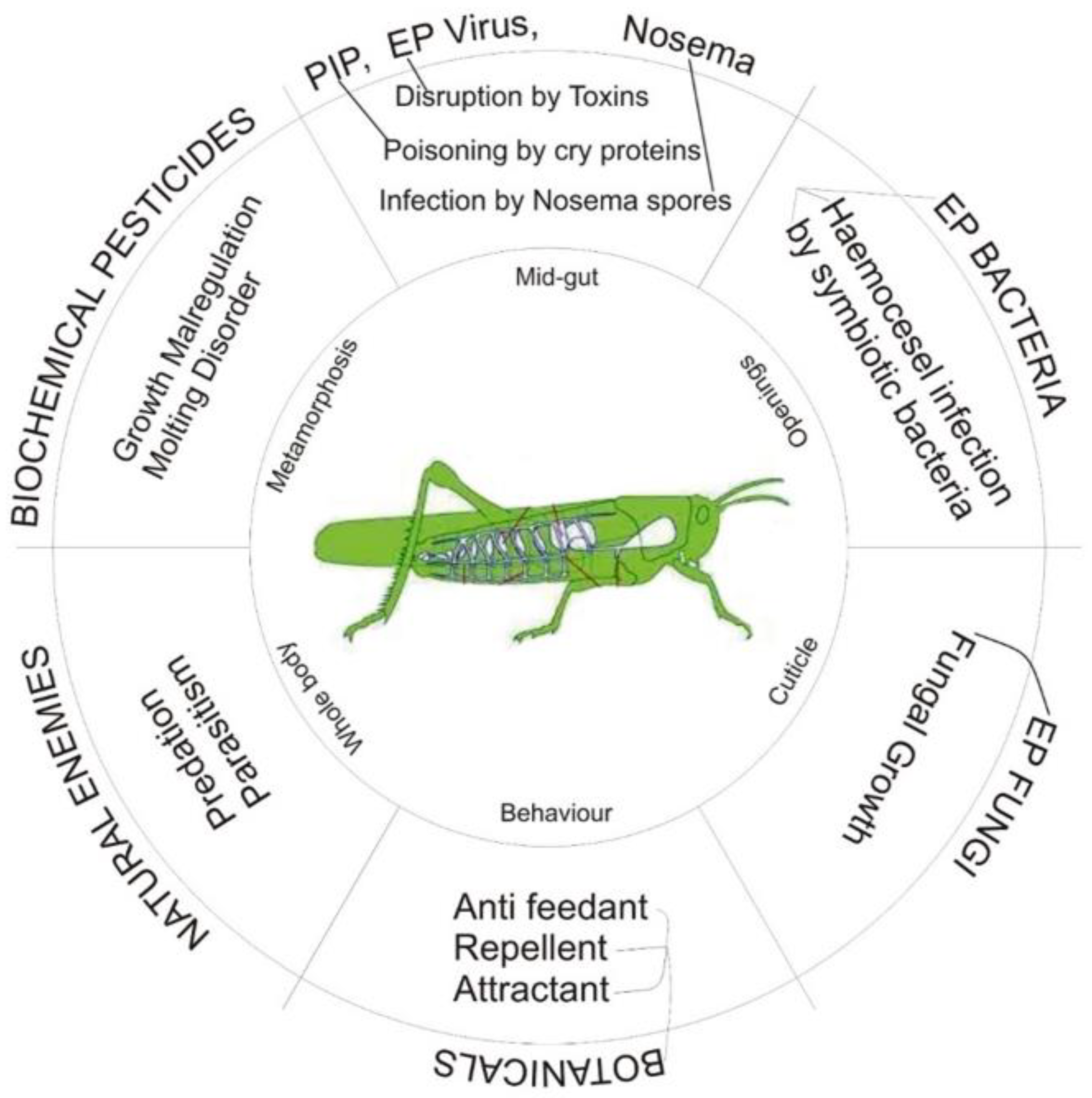 Sustainability 14 14417 g003