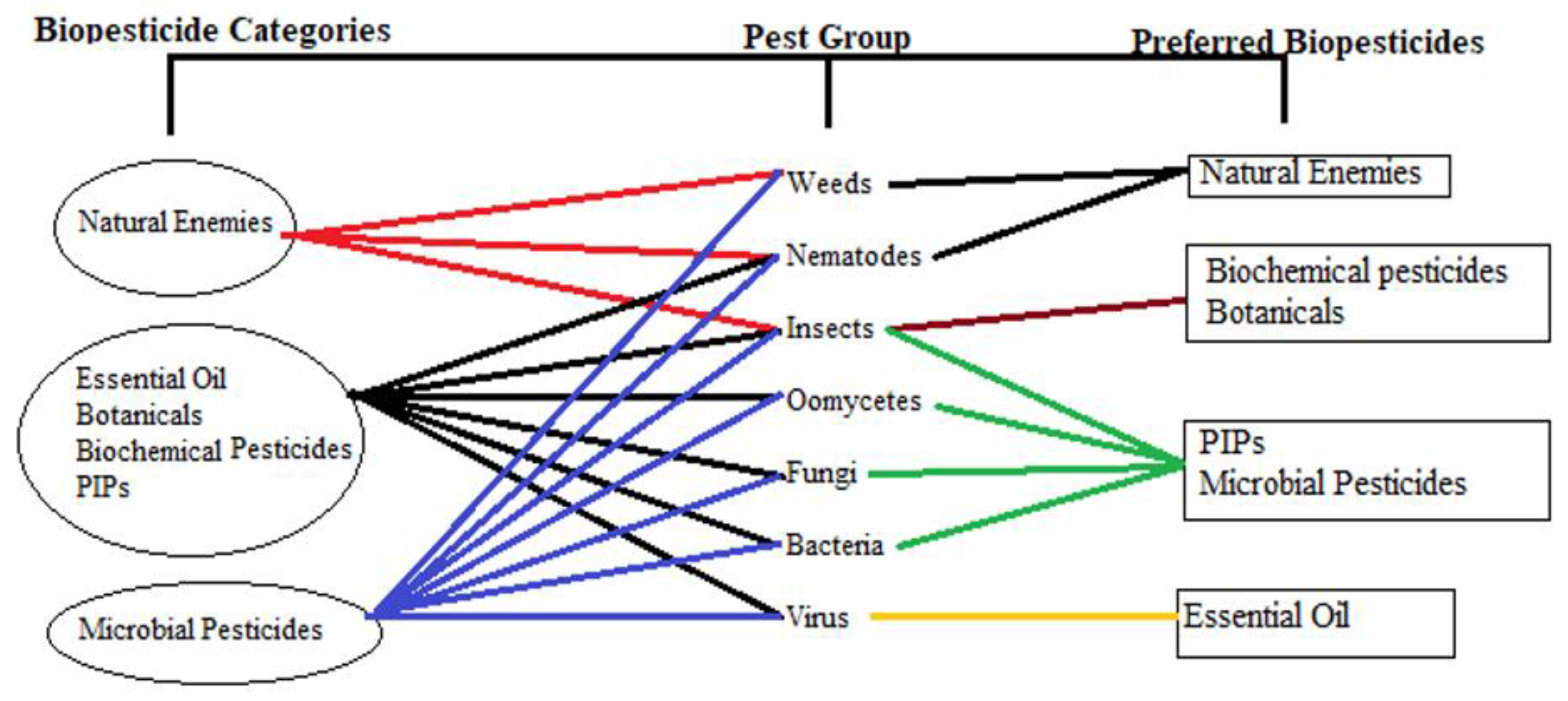 Sustainability 14 14417 g004
