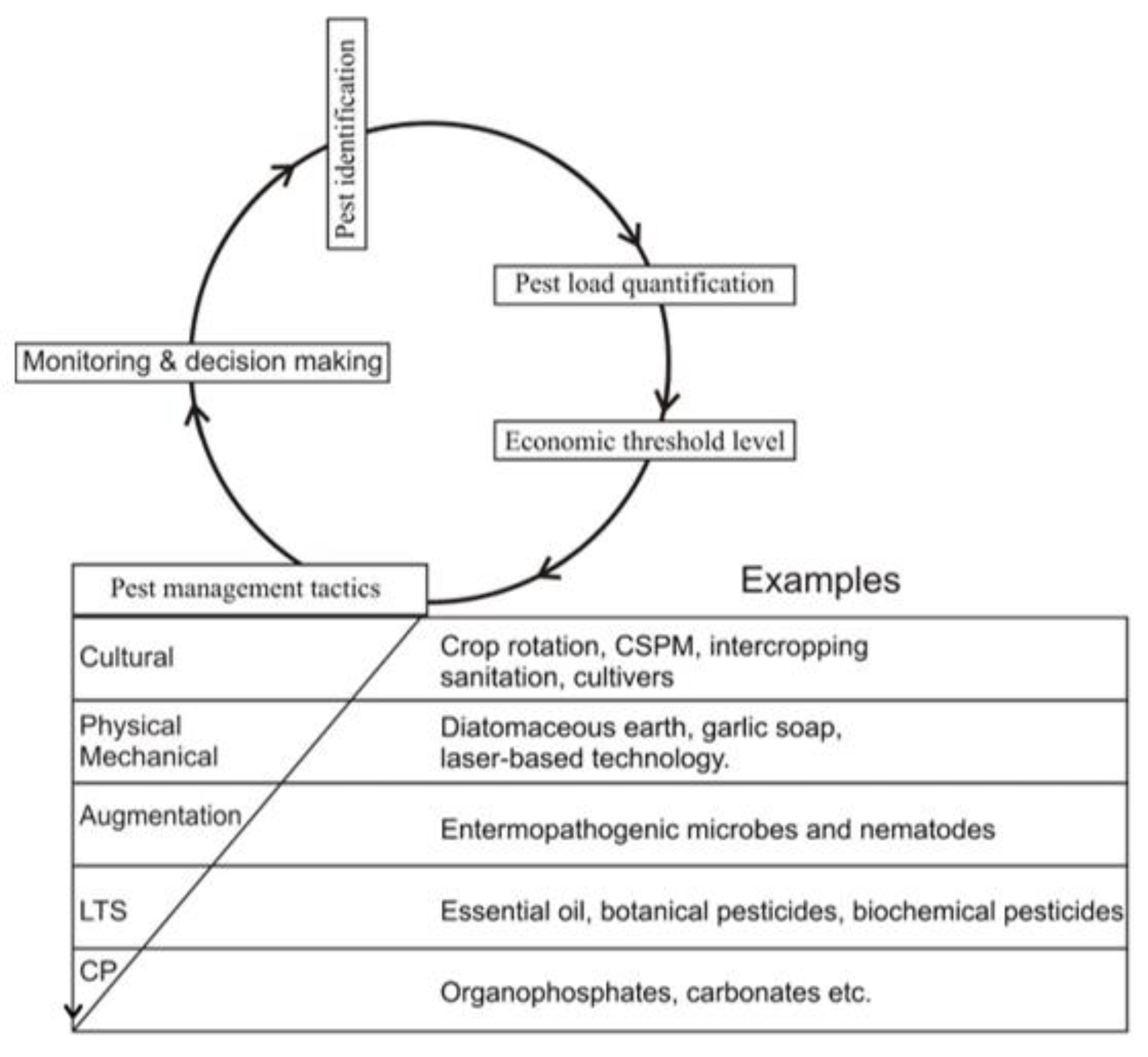Sustainability 14 14417 g005