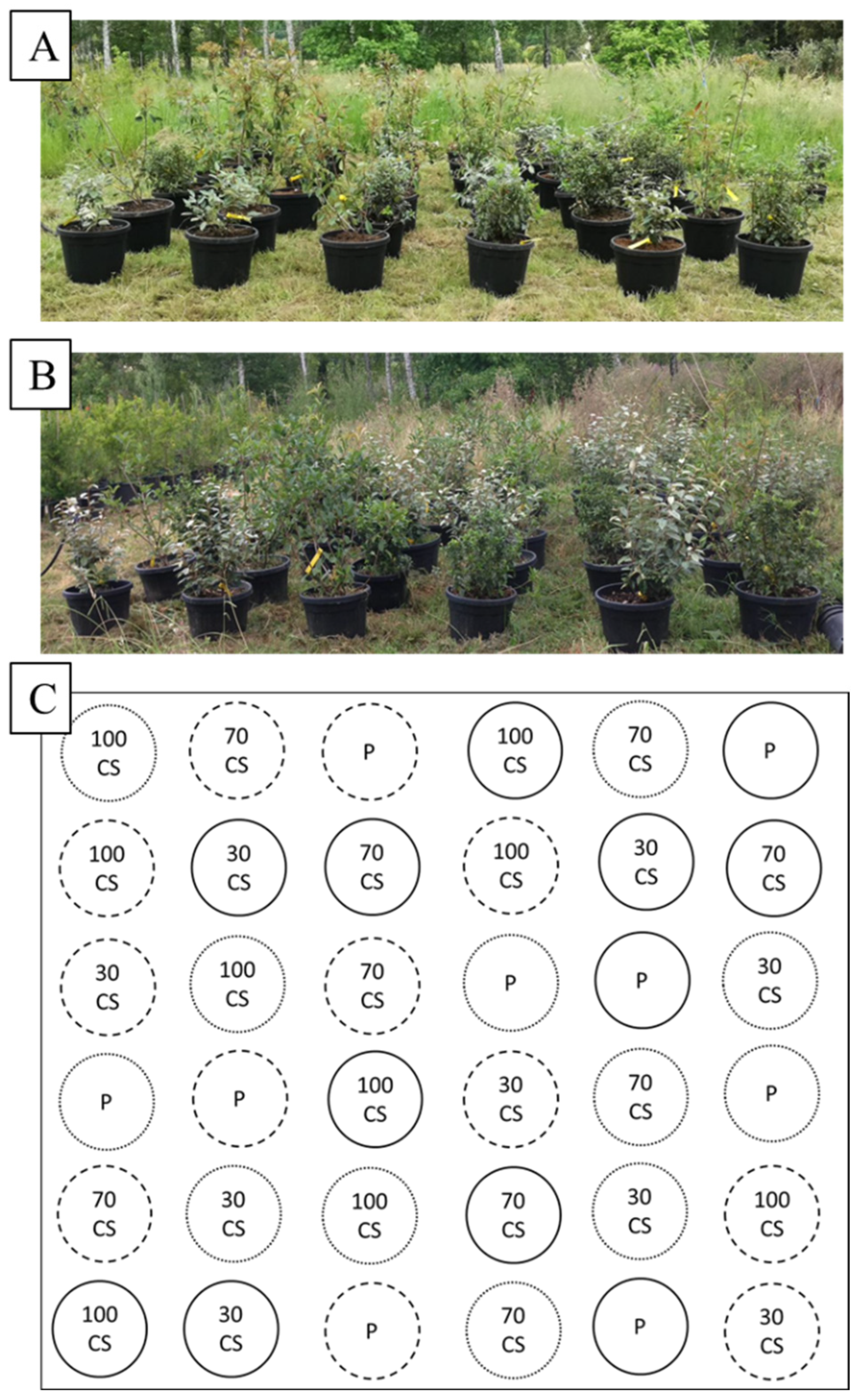 Sustainability 14 14419 g001 Sustainability 14 14419 g001