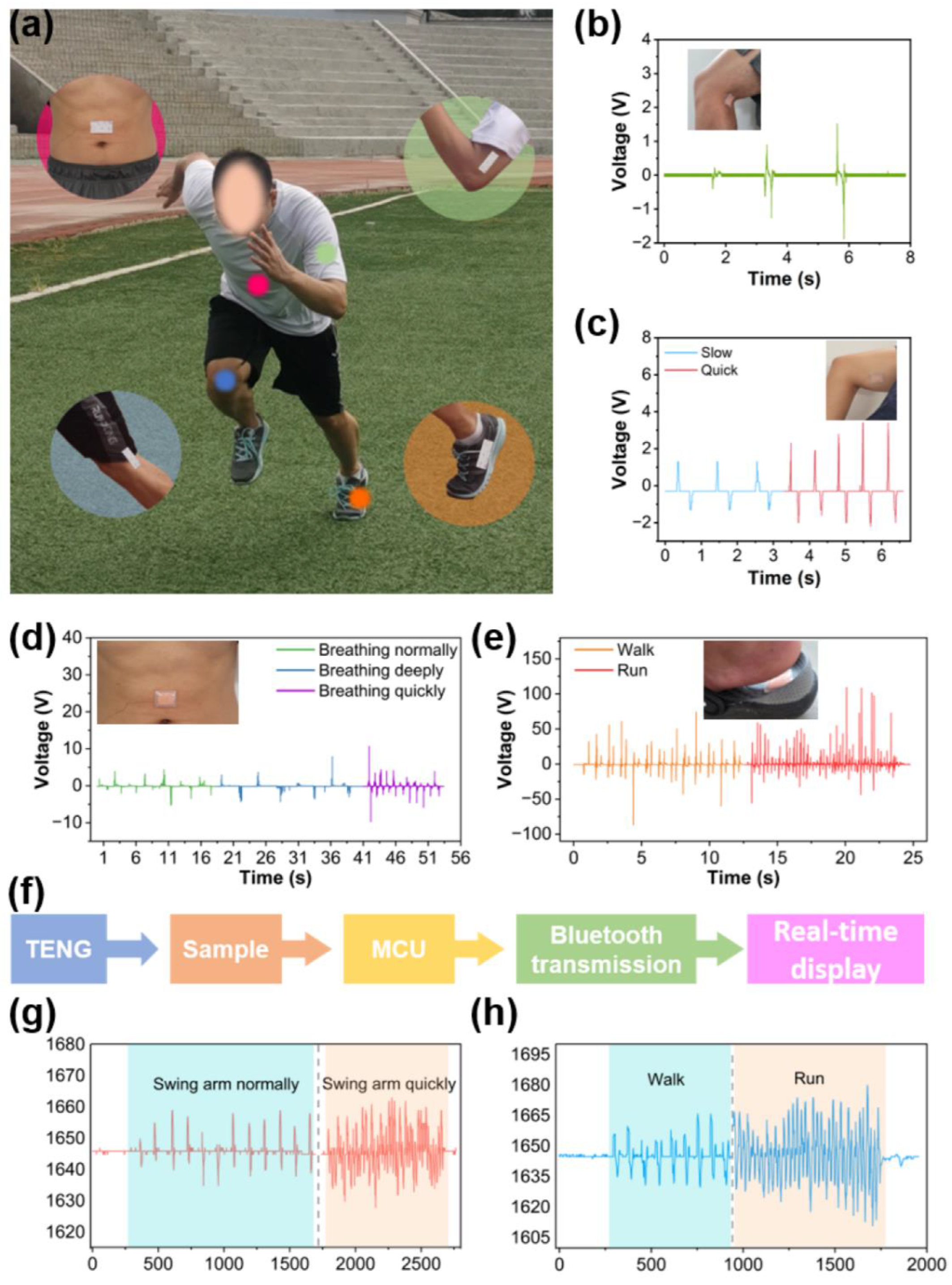 Sustainability 14 14422 g005