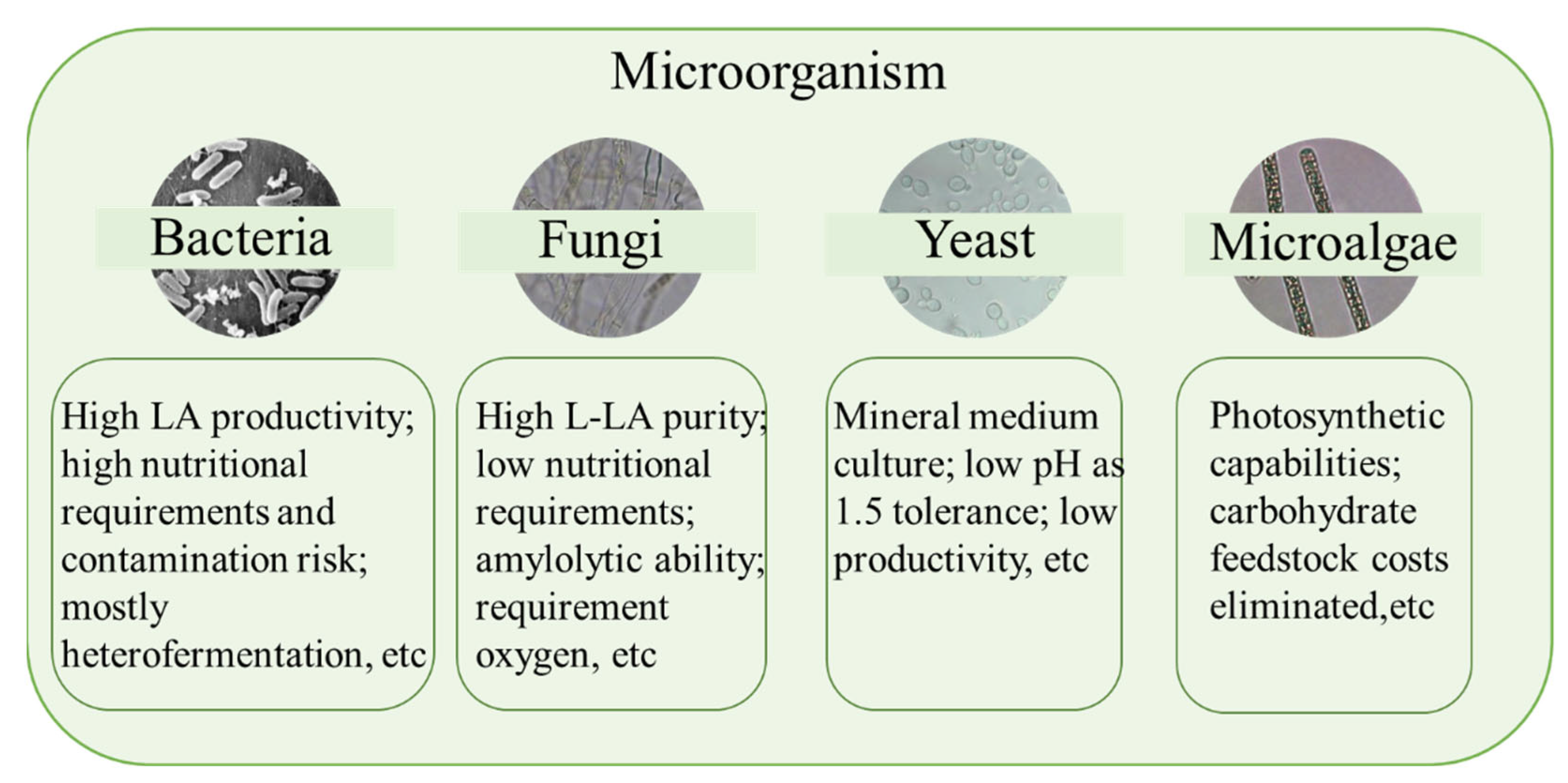Sustainability 14 14434 g002