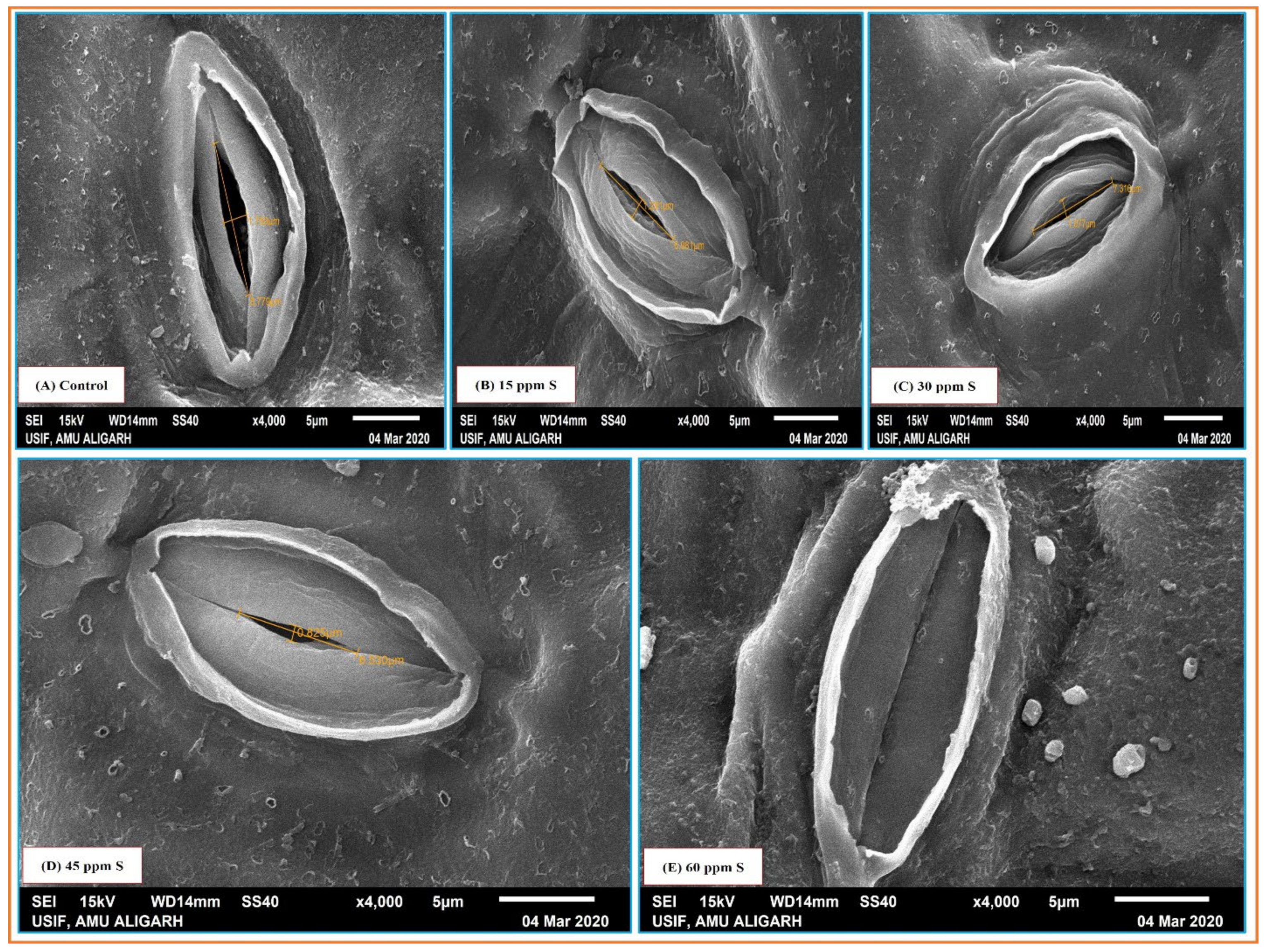 Sustainability 14 14441 g005