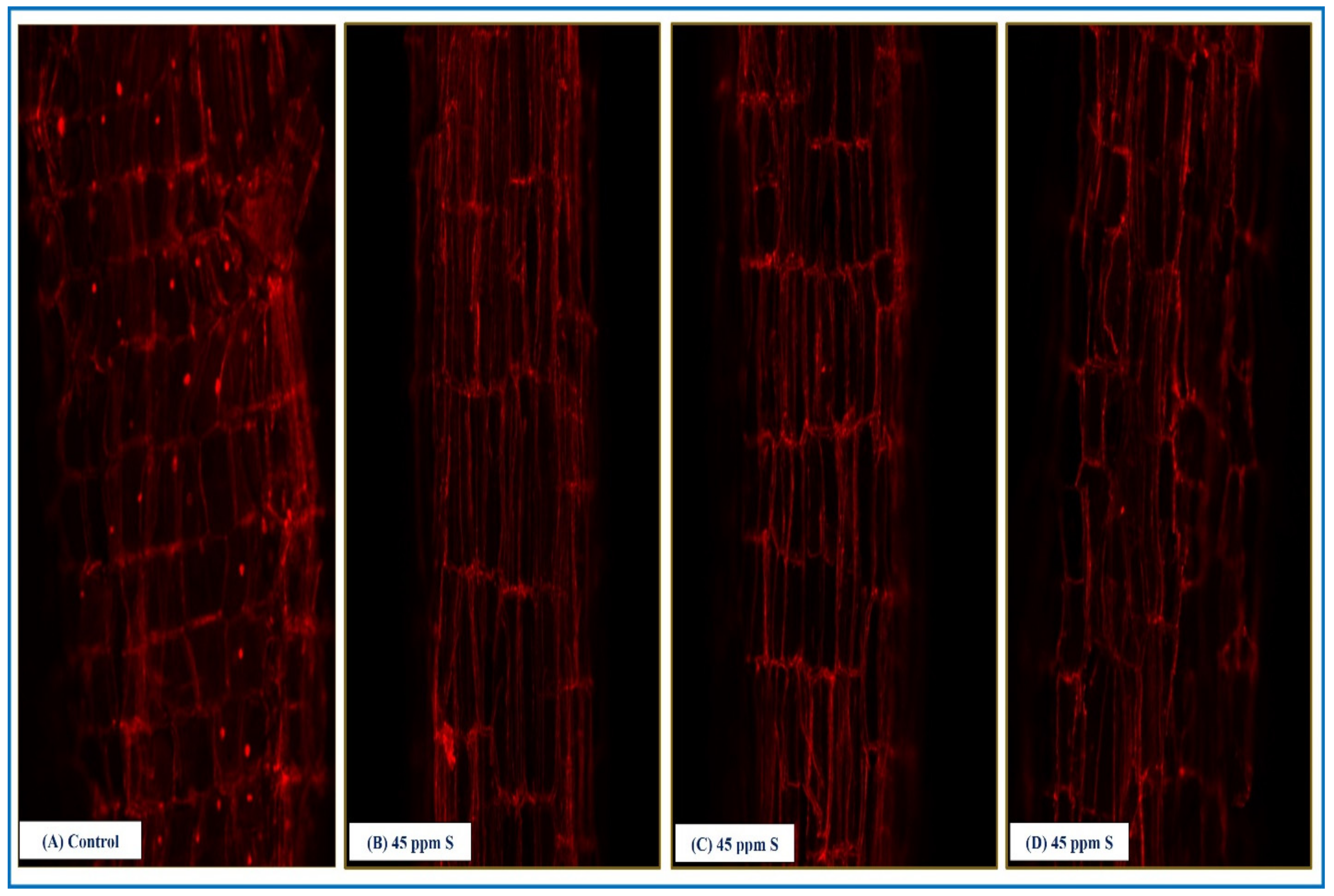 Sustainability 14 14441 g006