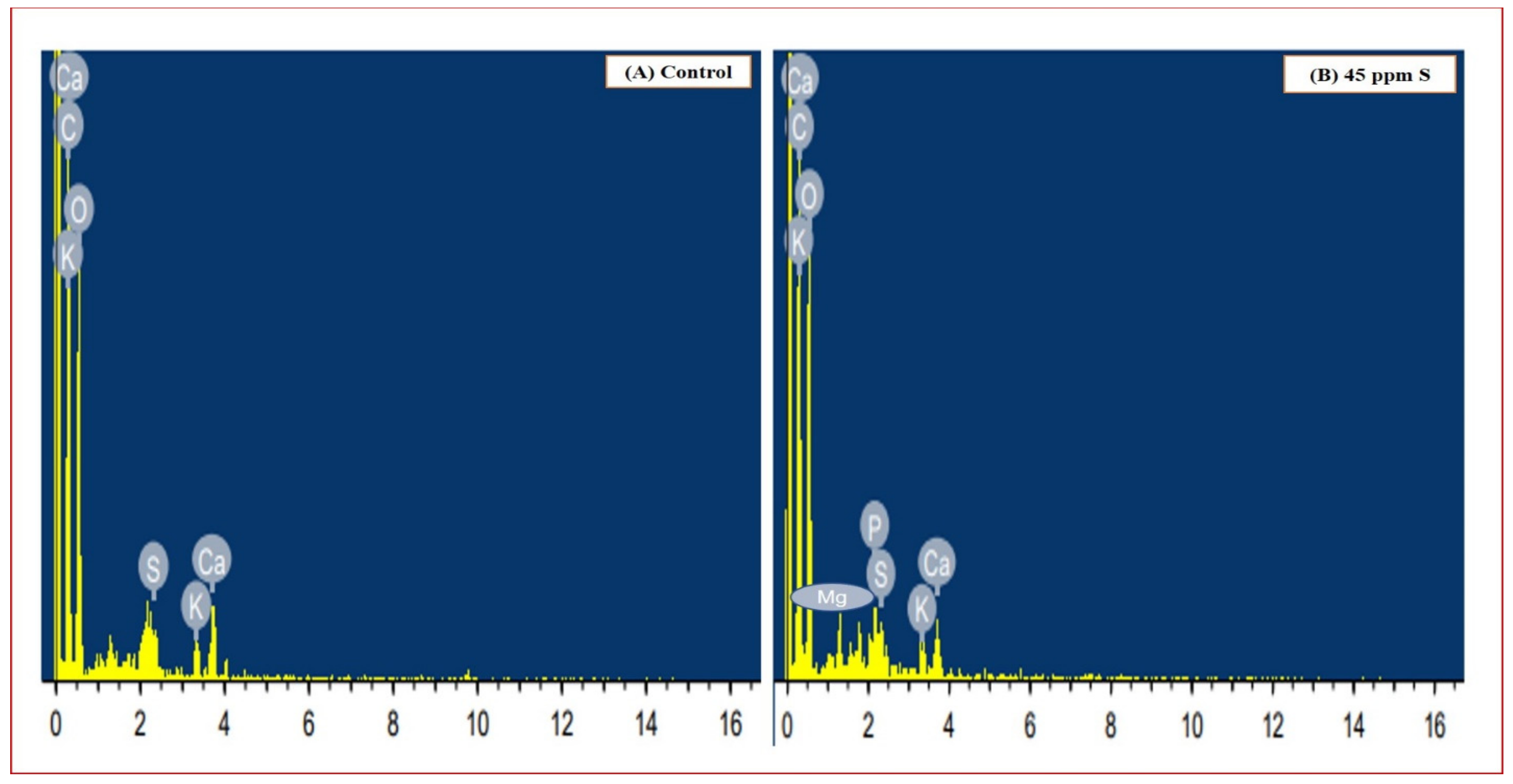 Sustainability 14 14441 g008