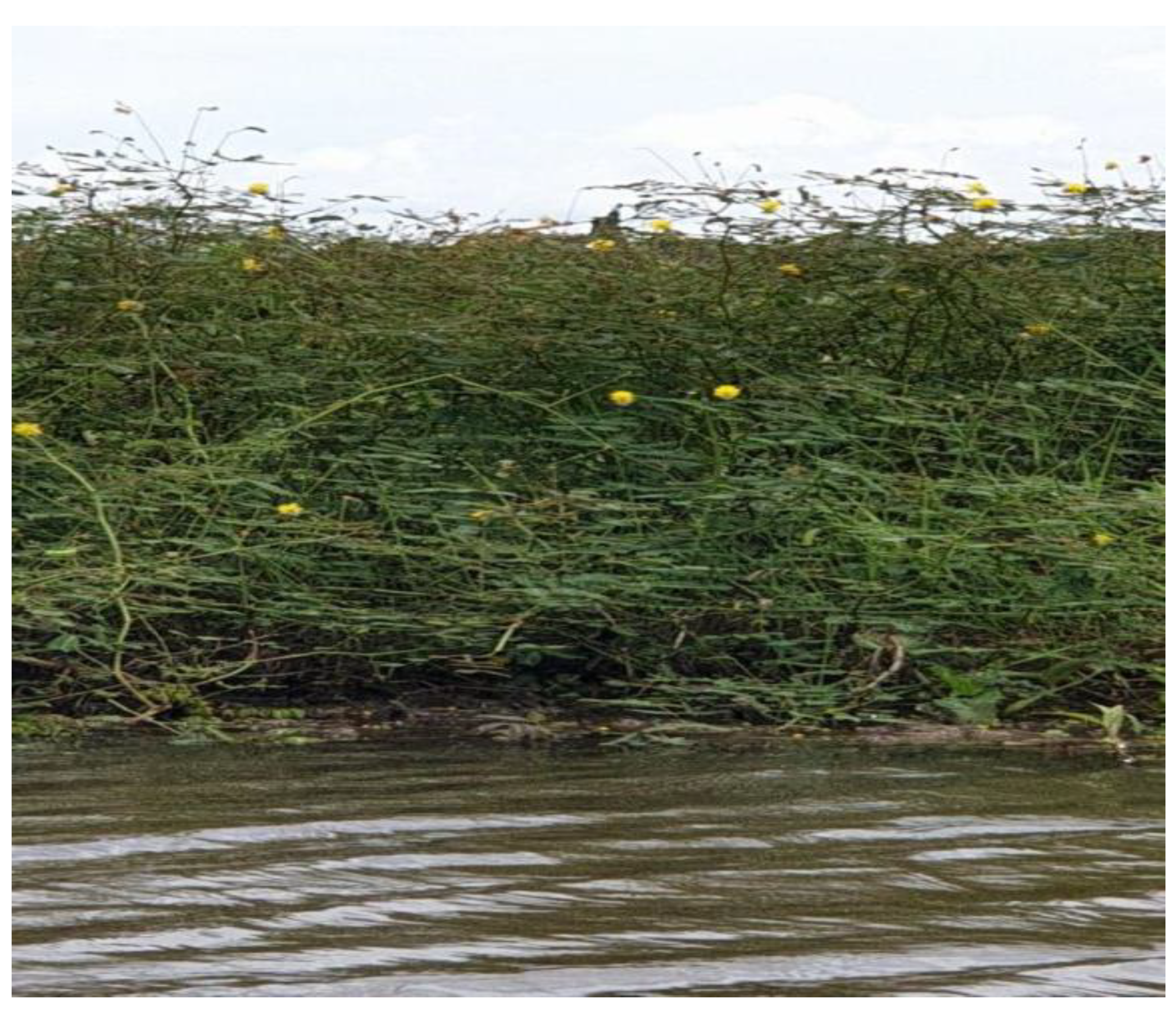 Sustainability 14 14461 g003