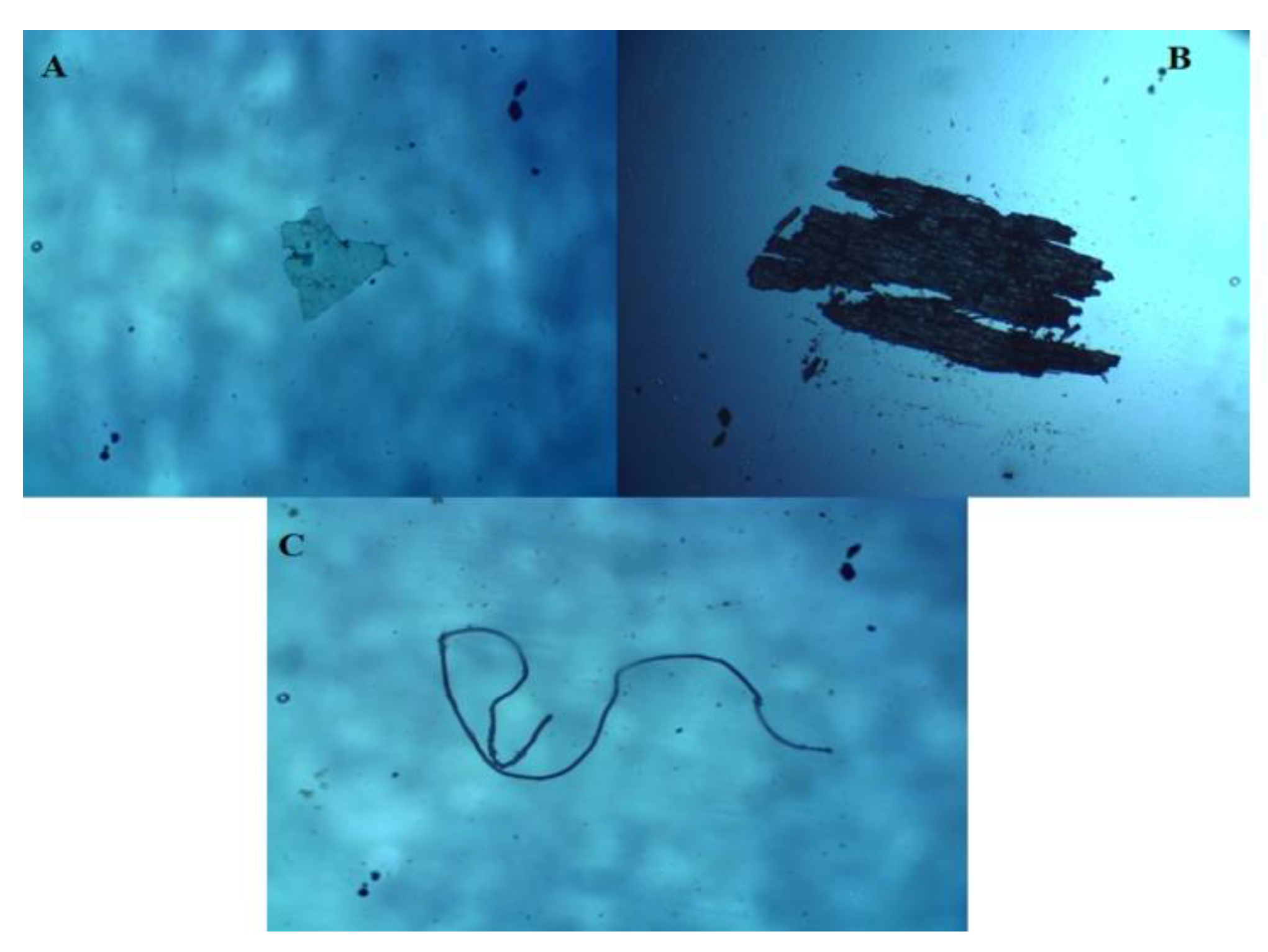 Sustainability 14 14469 g002