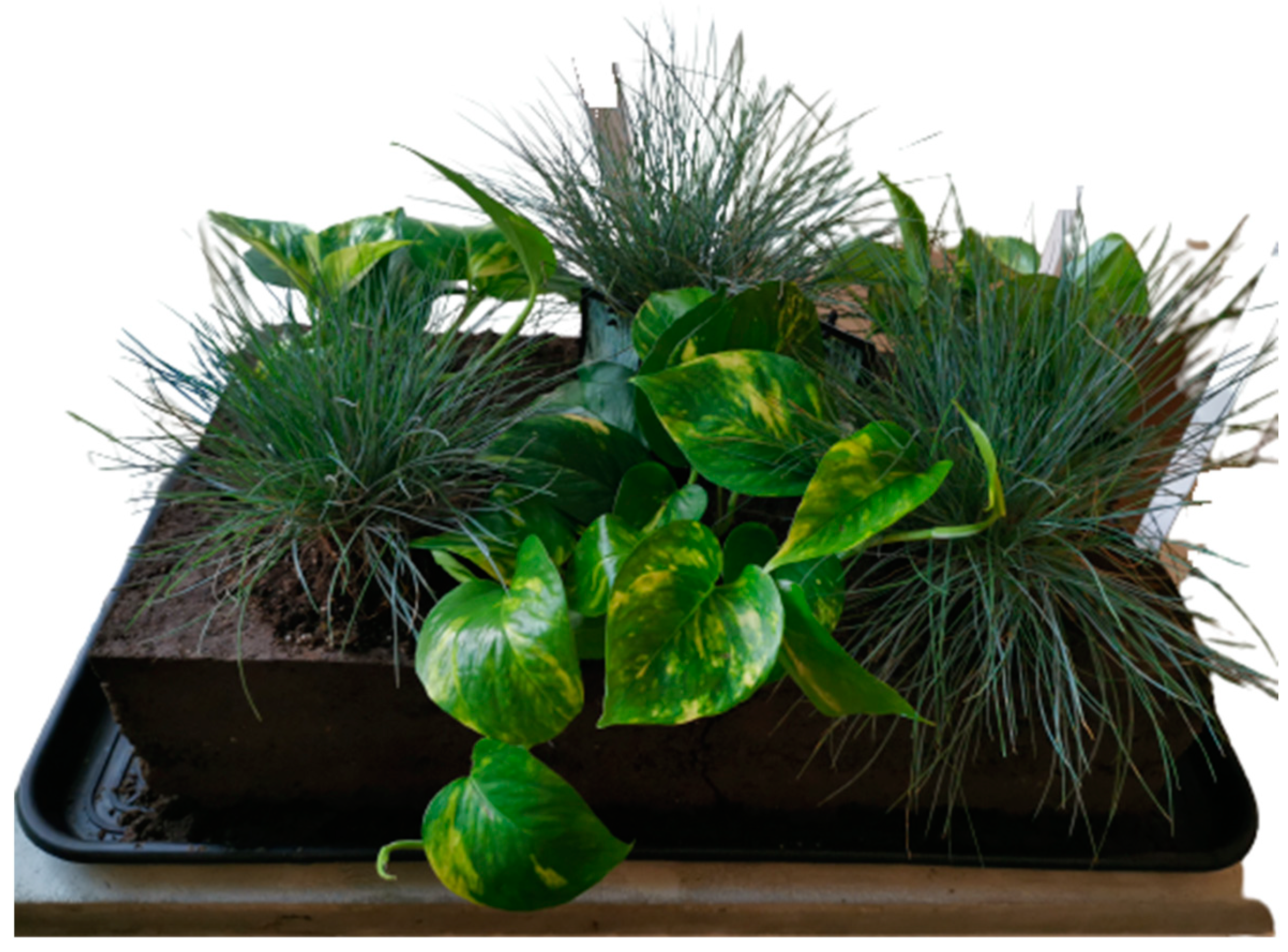 Sustainability 14 14518 g005