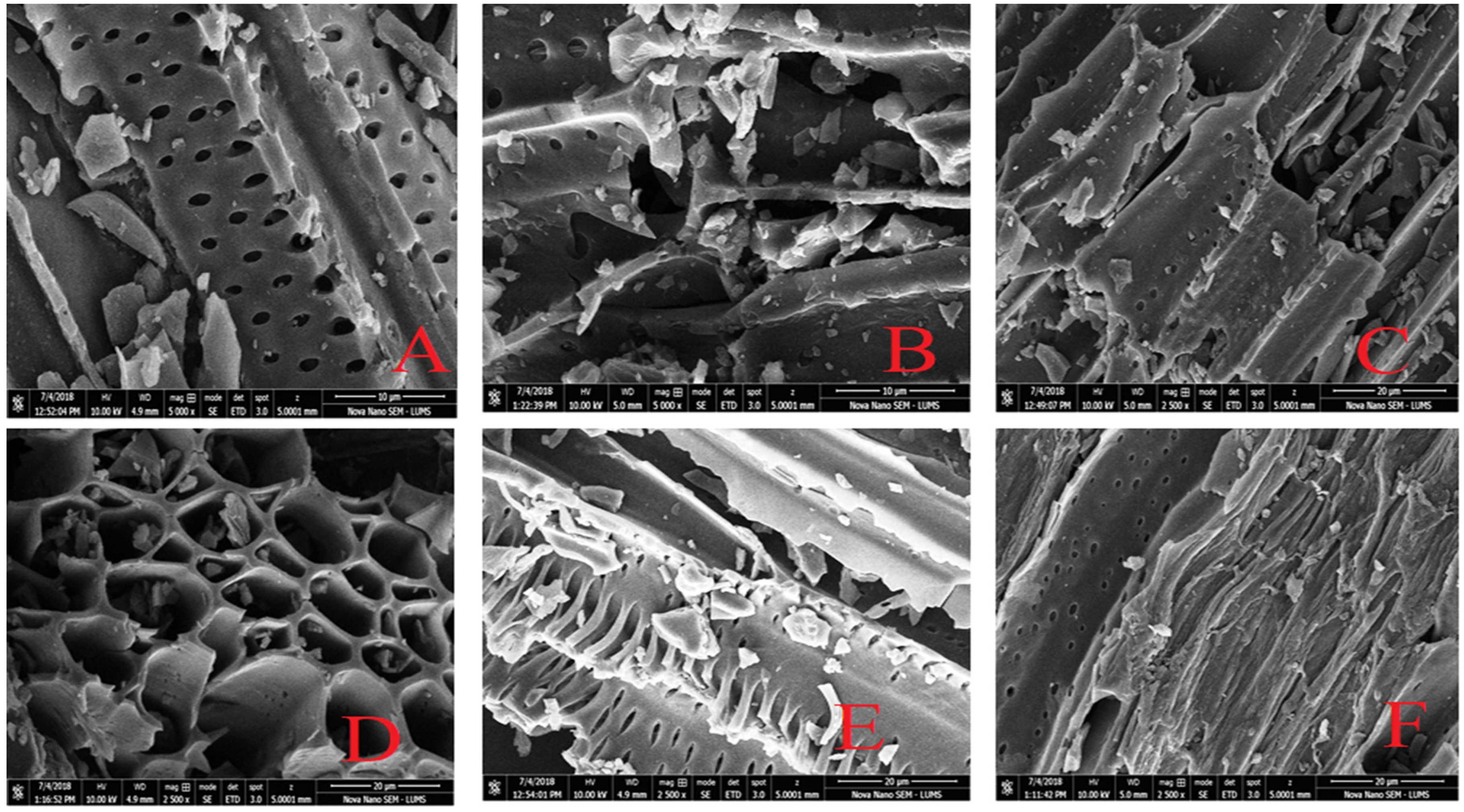 Sustainability 14 14523 g006