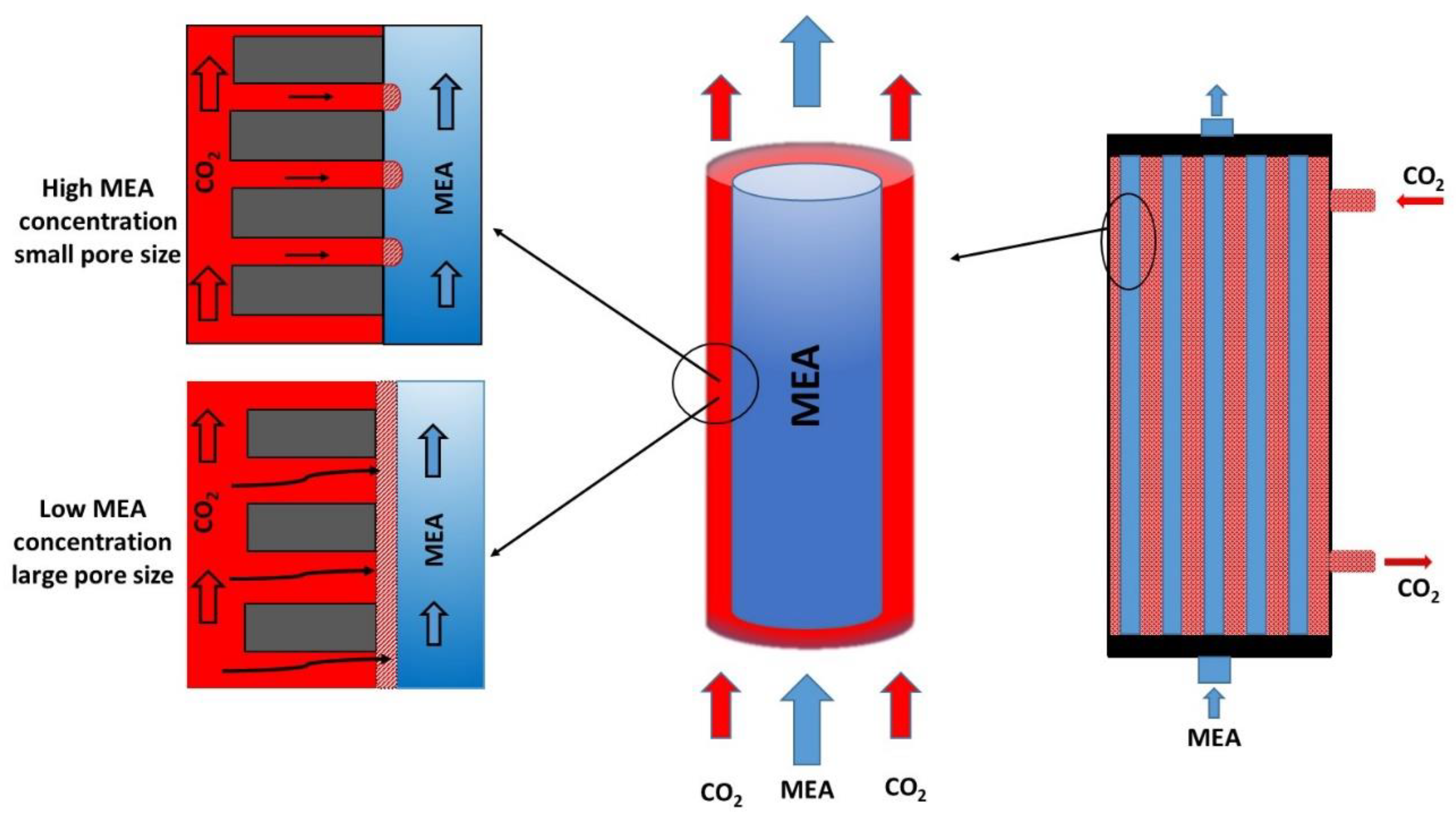 Sustainability 14 14527 g001