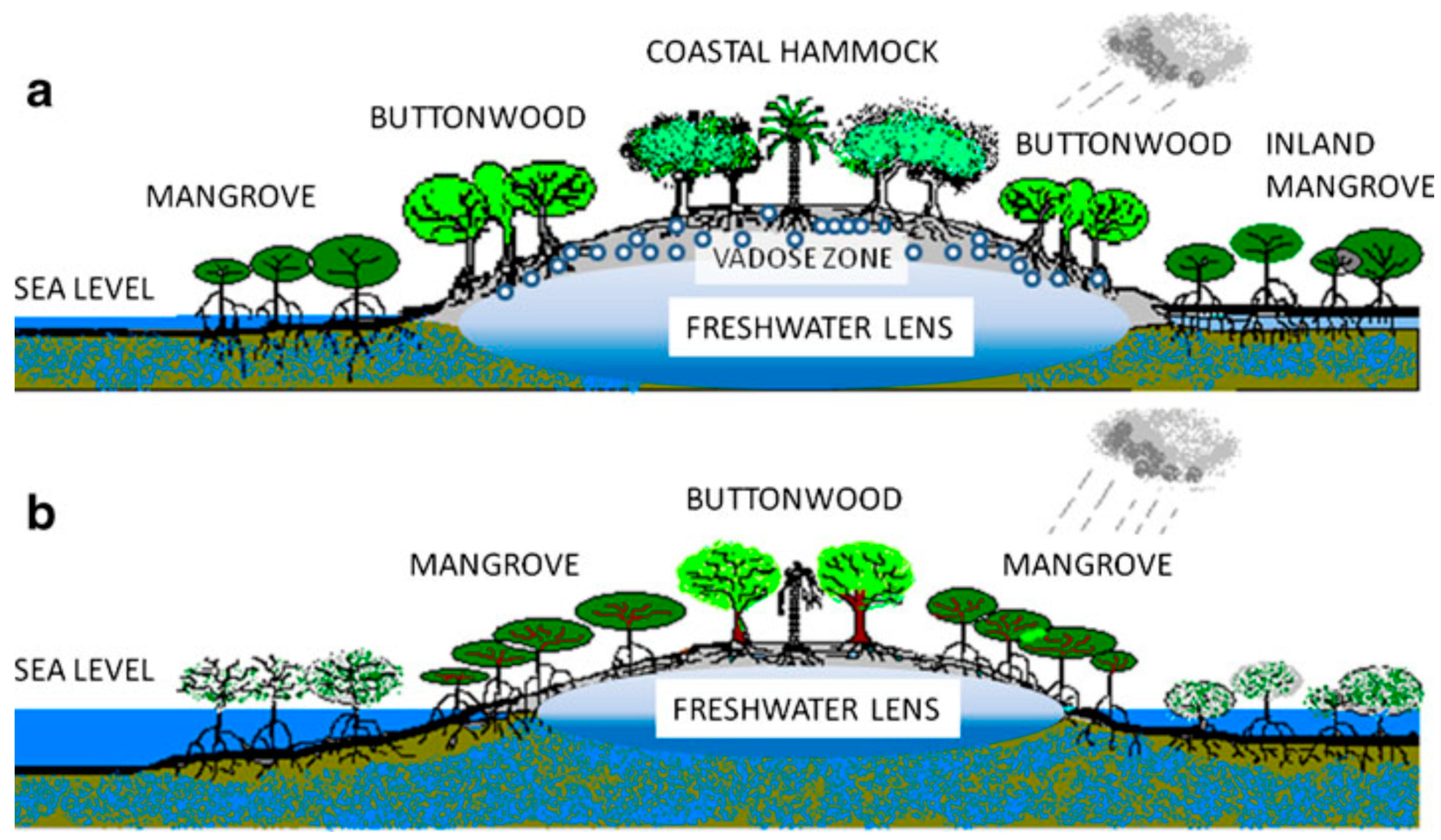 Sustainability 14 14553 g003