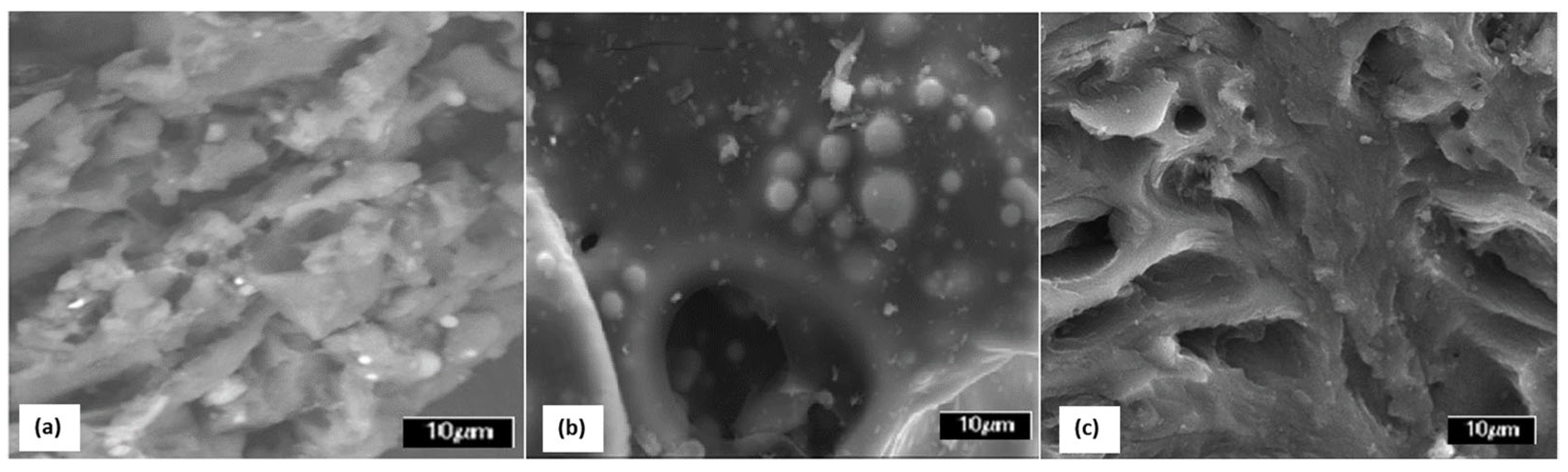 Sustainability 14 14559 g004