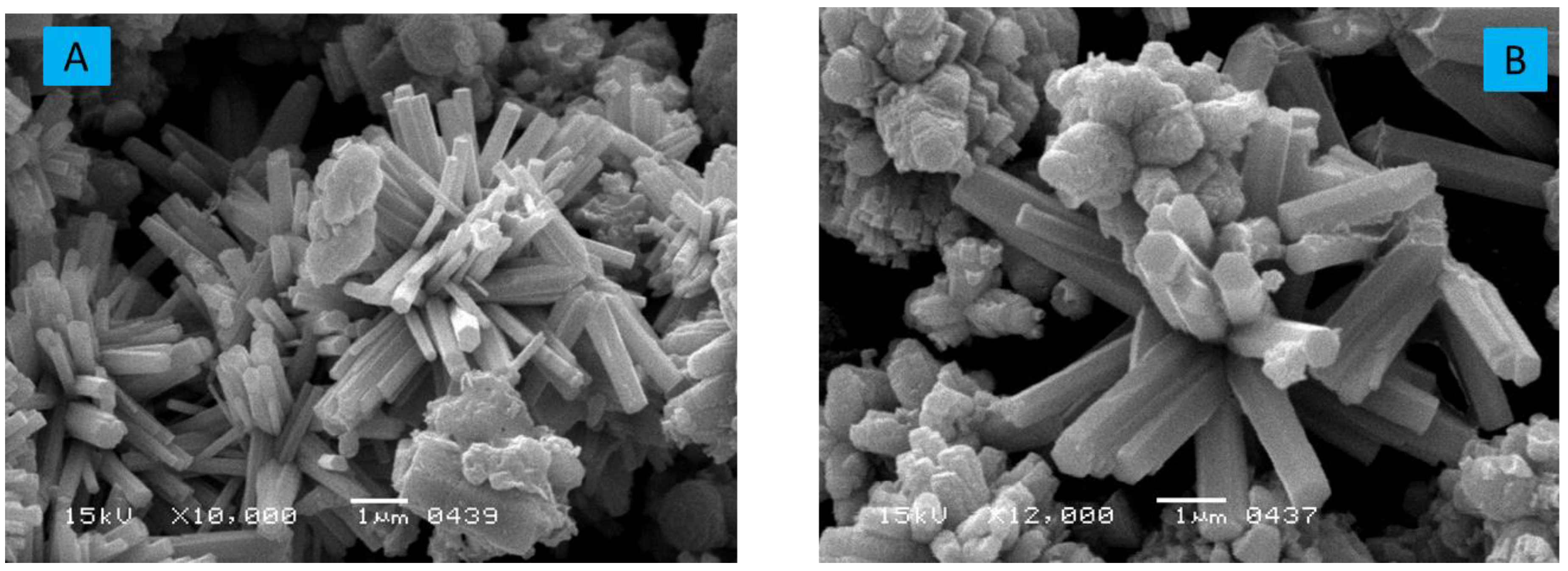 Sustainability 14 14562 g002a