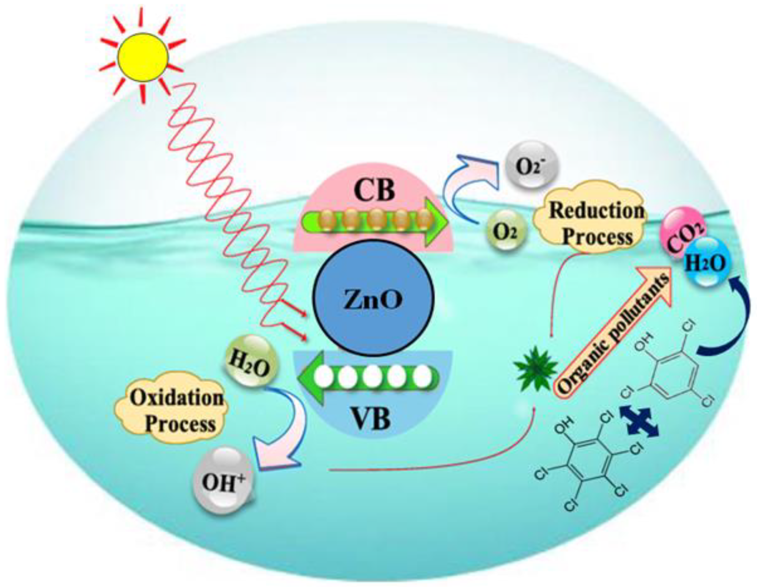 Sustainability 14 14562 g008