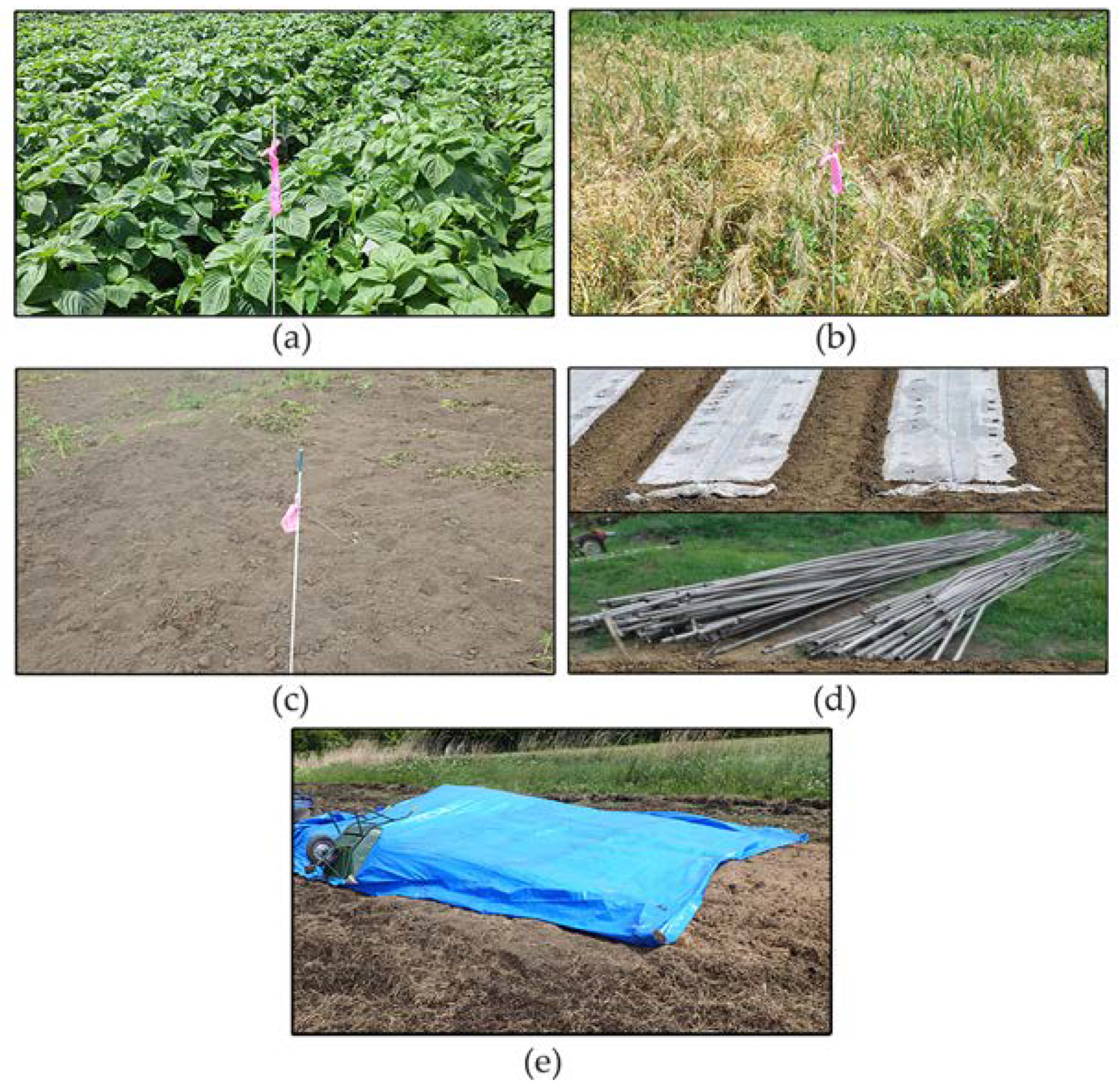 Sustainability 14 14603 g002