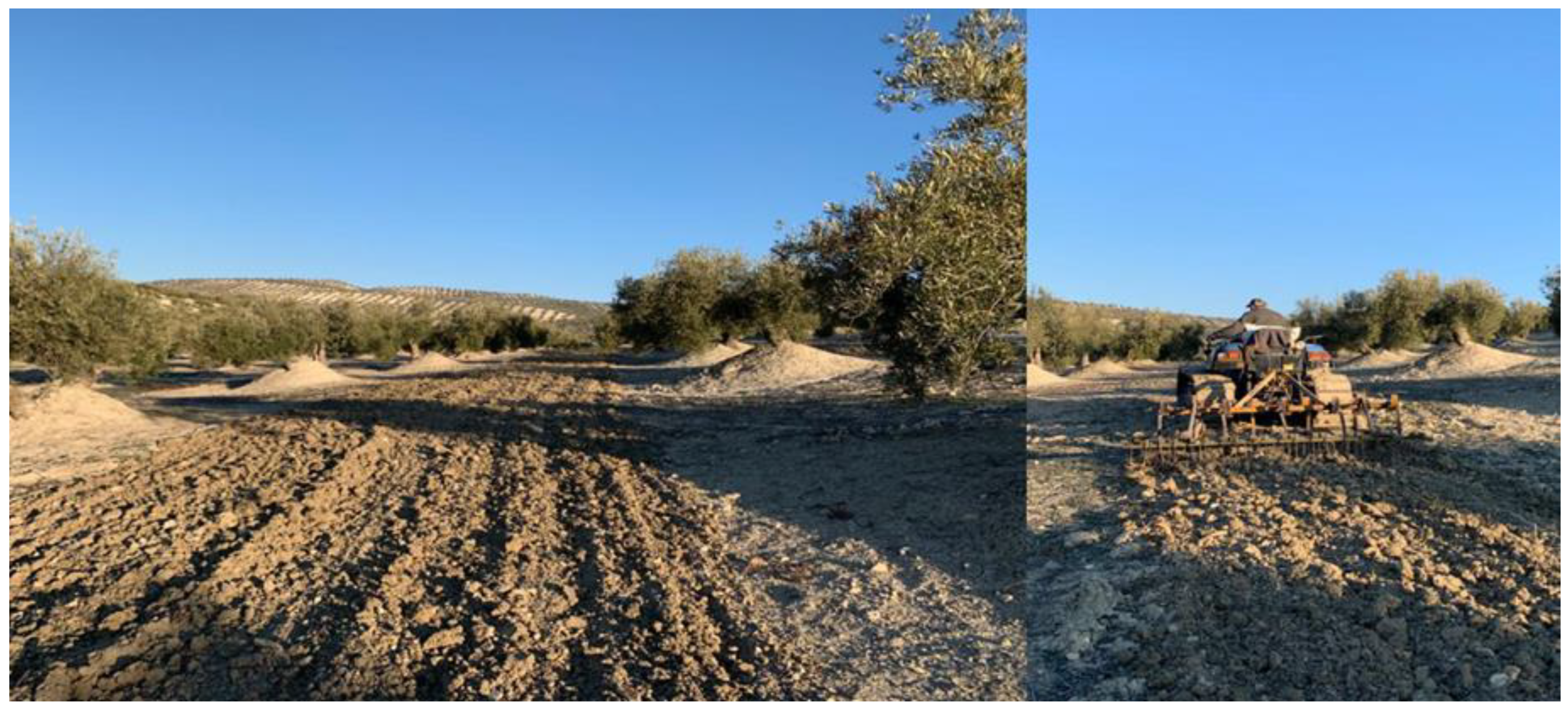 Sustainability 14 14609 g002