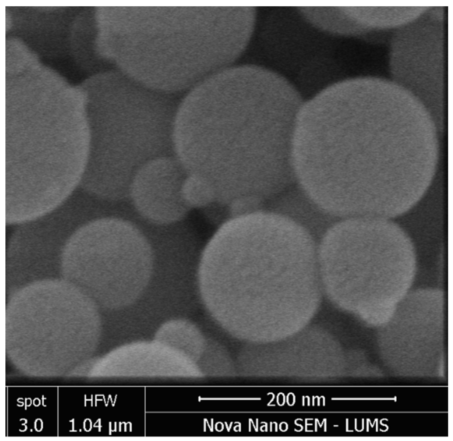 Sustainability 14 14613 g003