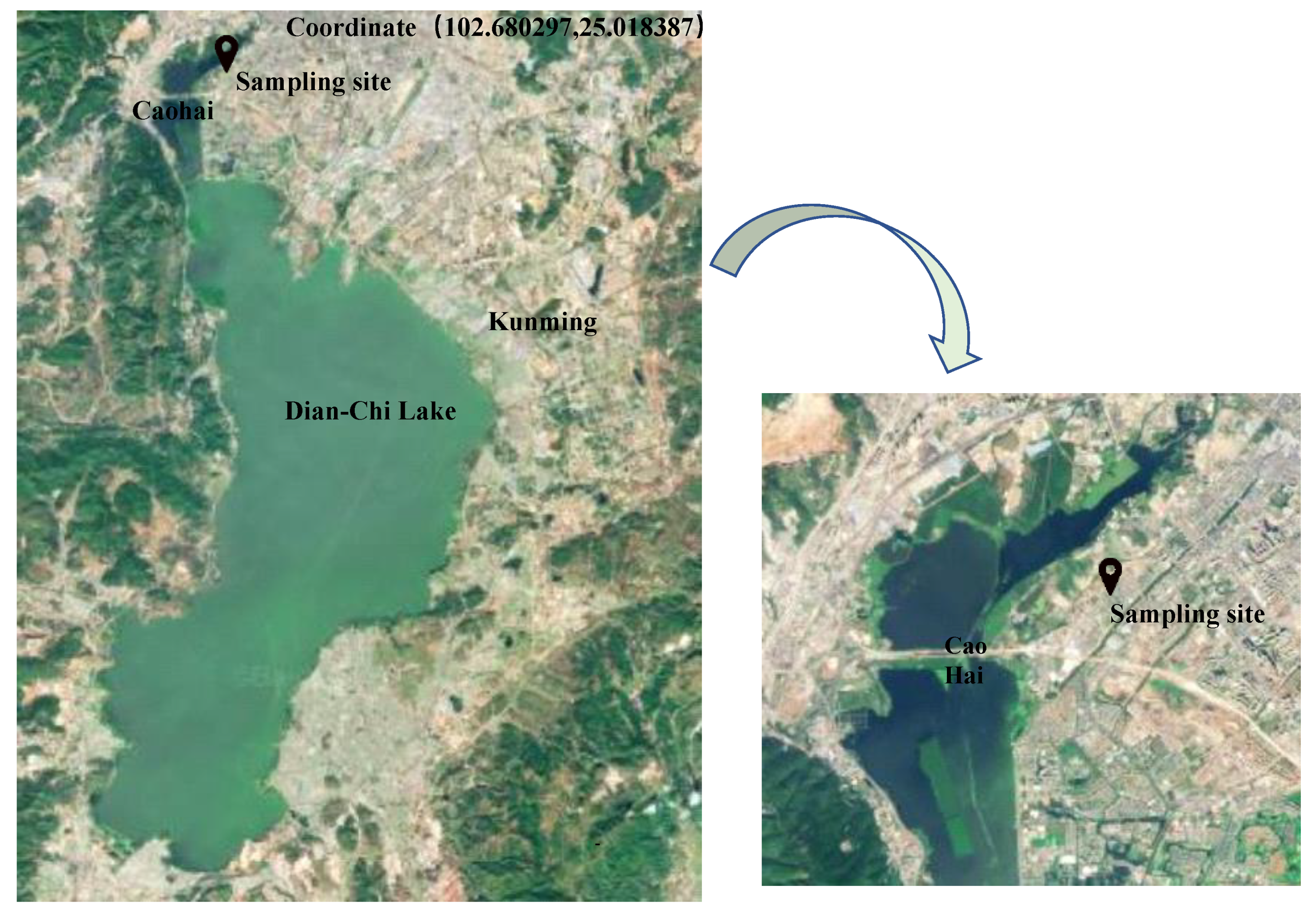 Sustainability 14 14618 g001