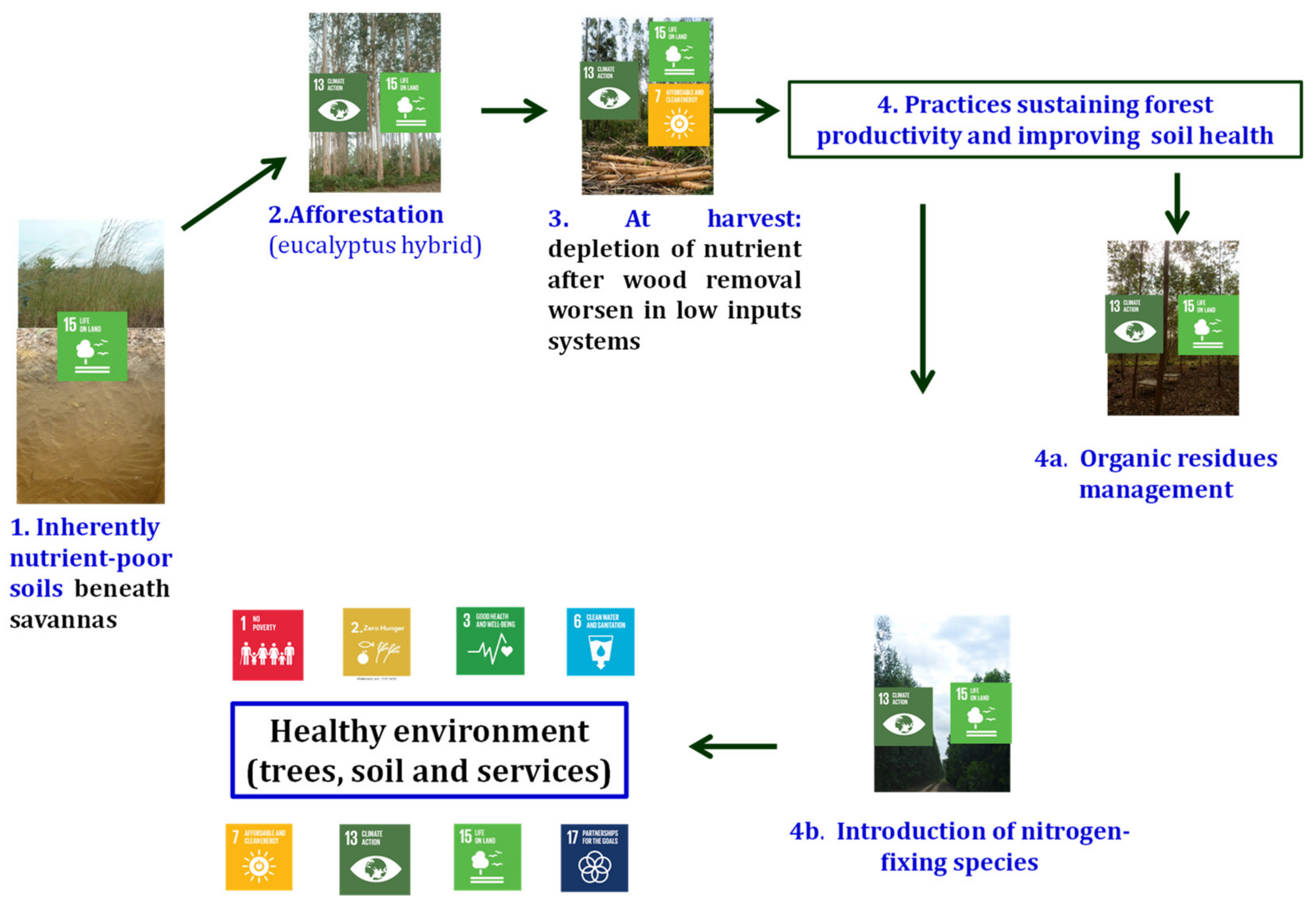 Sustainability 14 14624 g002