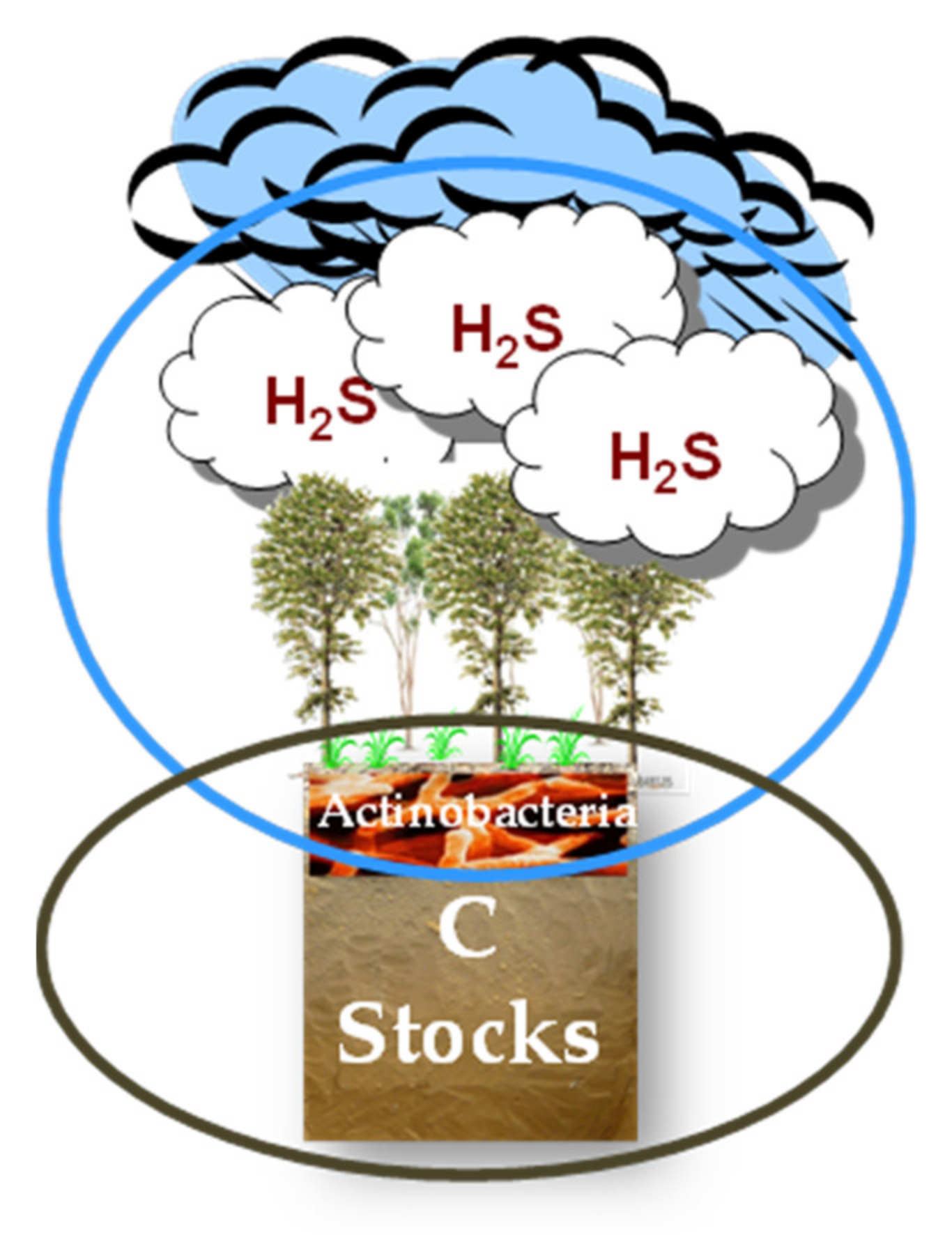 Sustainability 14 14624 g003