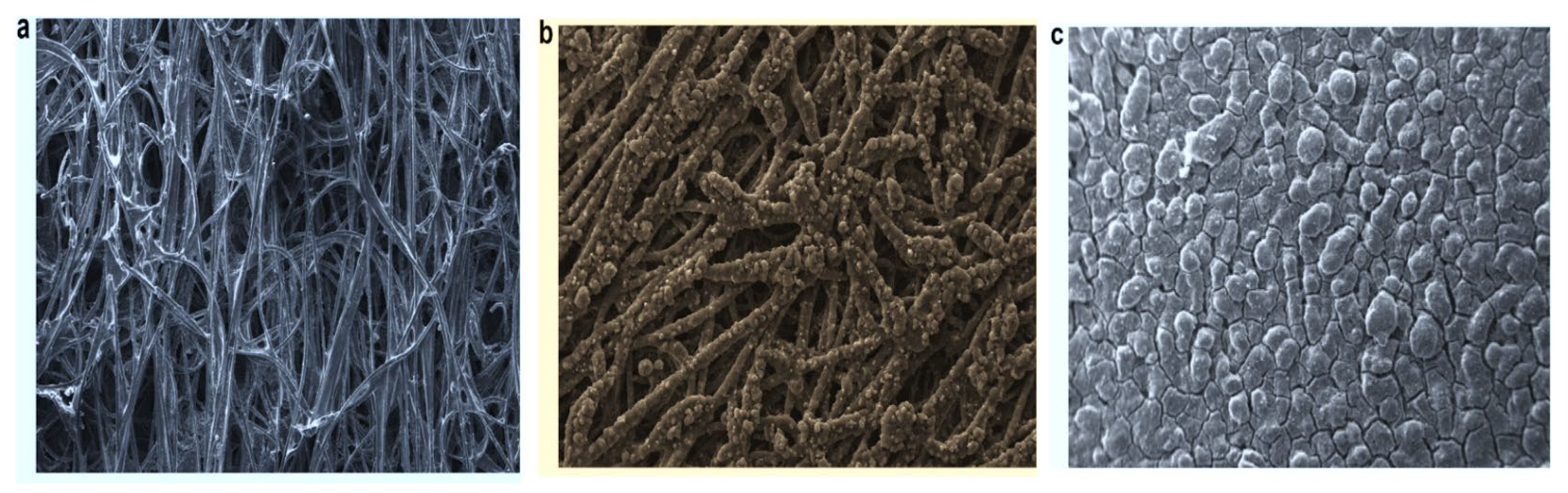 Sustainability 14 14653 g026