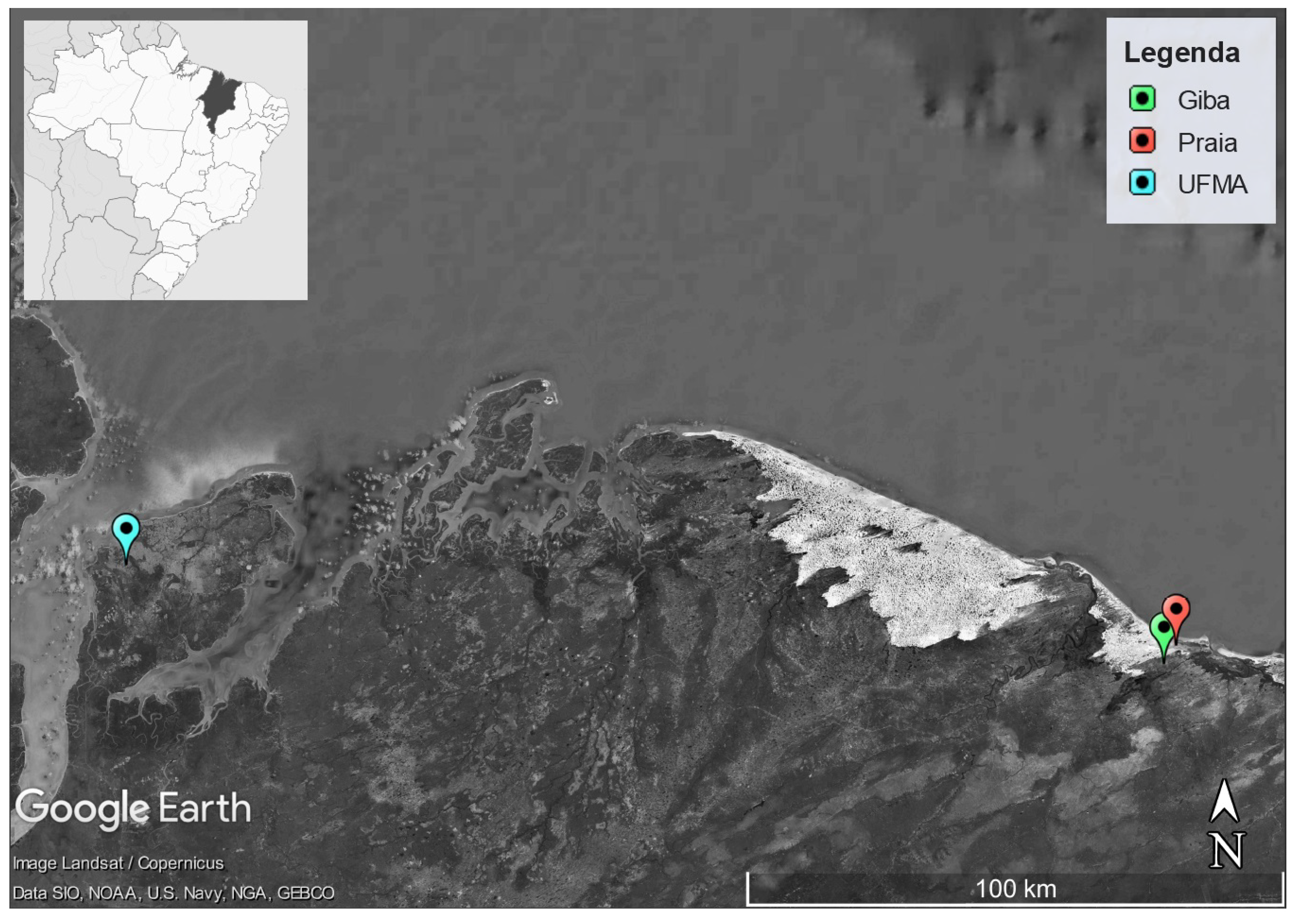 Sustainability 14 14654 g001