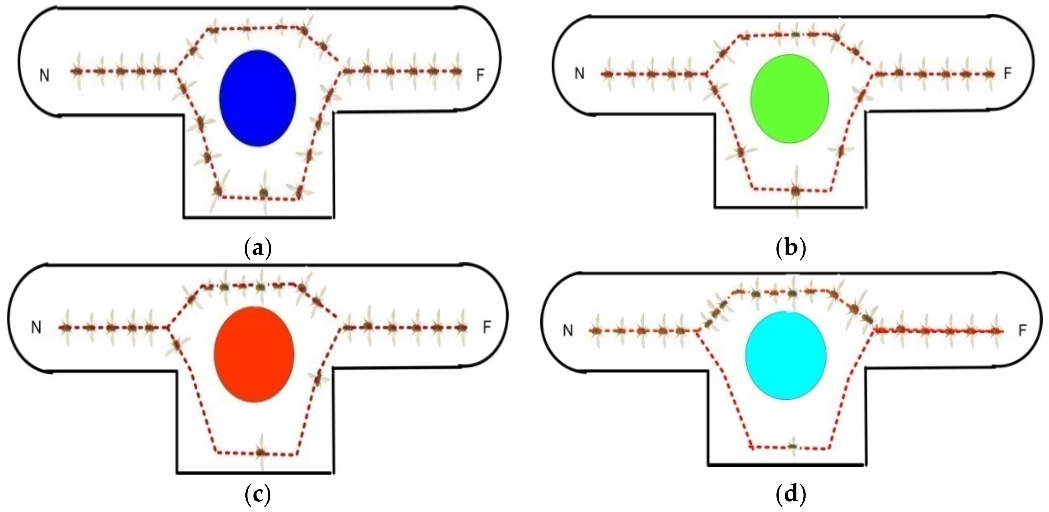 Sustainability 14 14661 g006