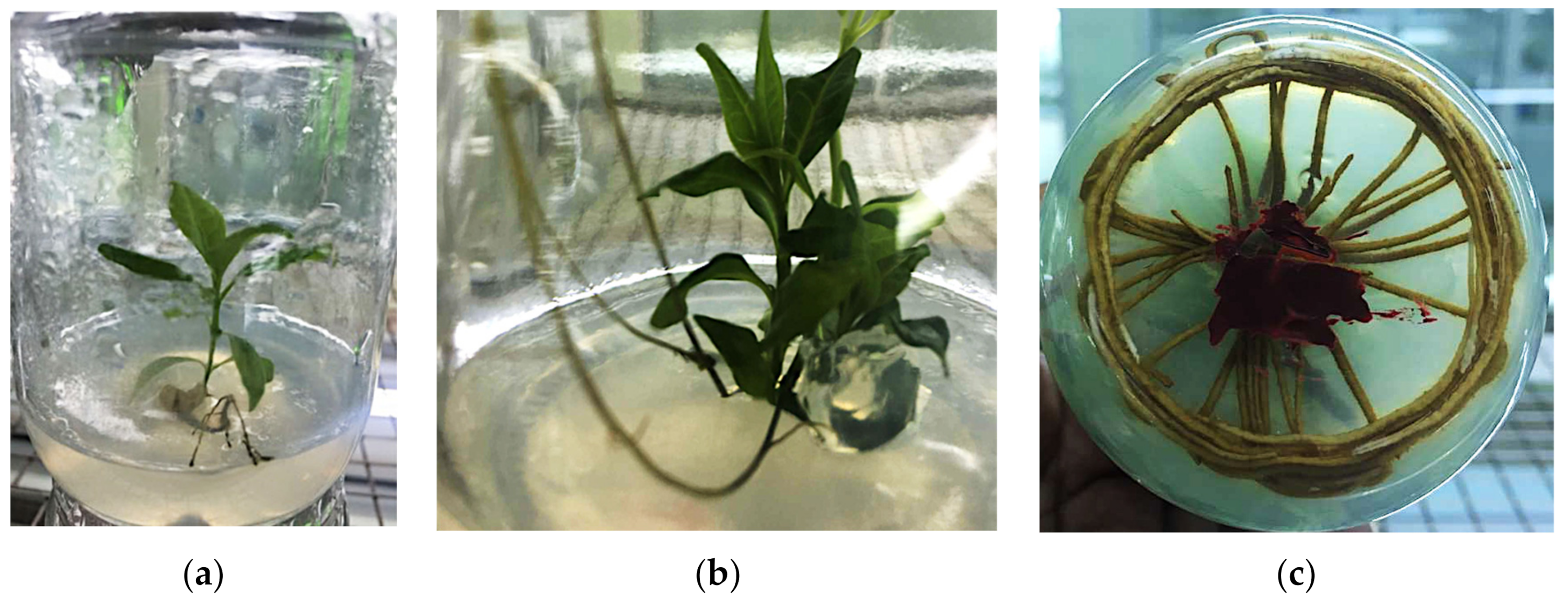 Sustainability 14 14720 g003